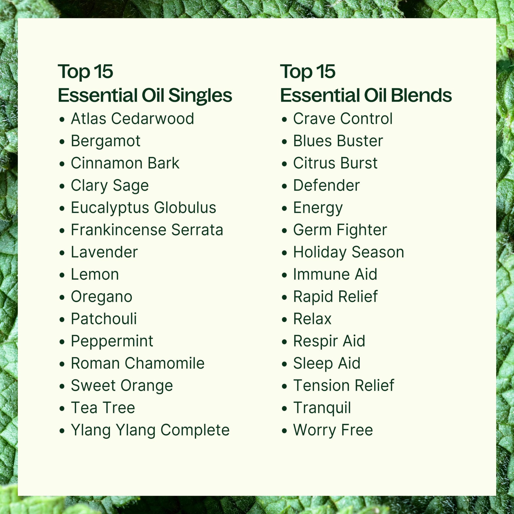 15 & 15 Essential Oil Set with Carrying Case Plant Therapy