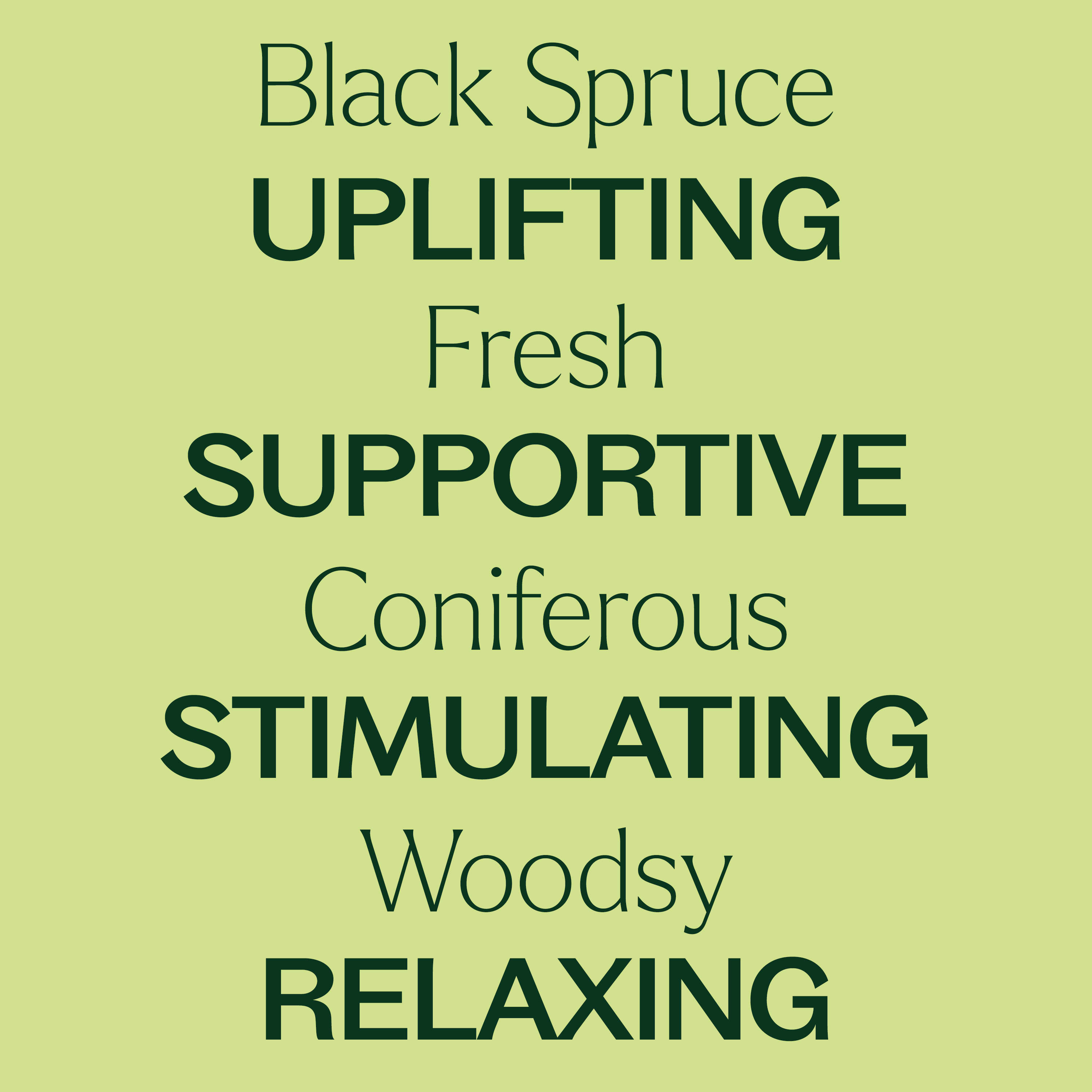 Black Spruce Essential Oil