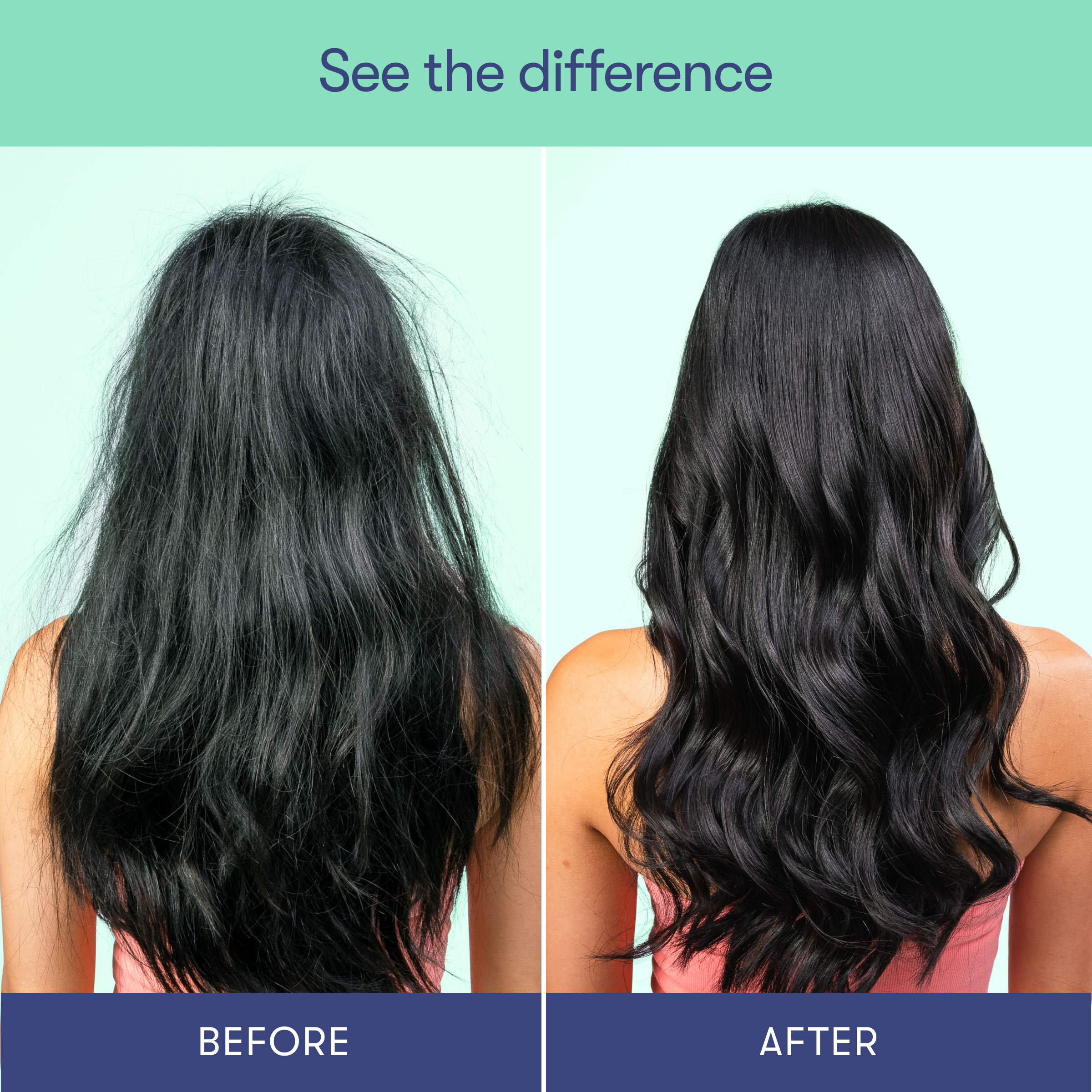 Maintain Shampoo Bar