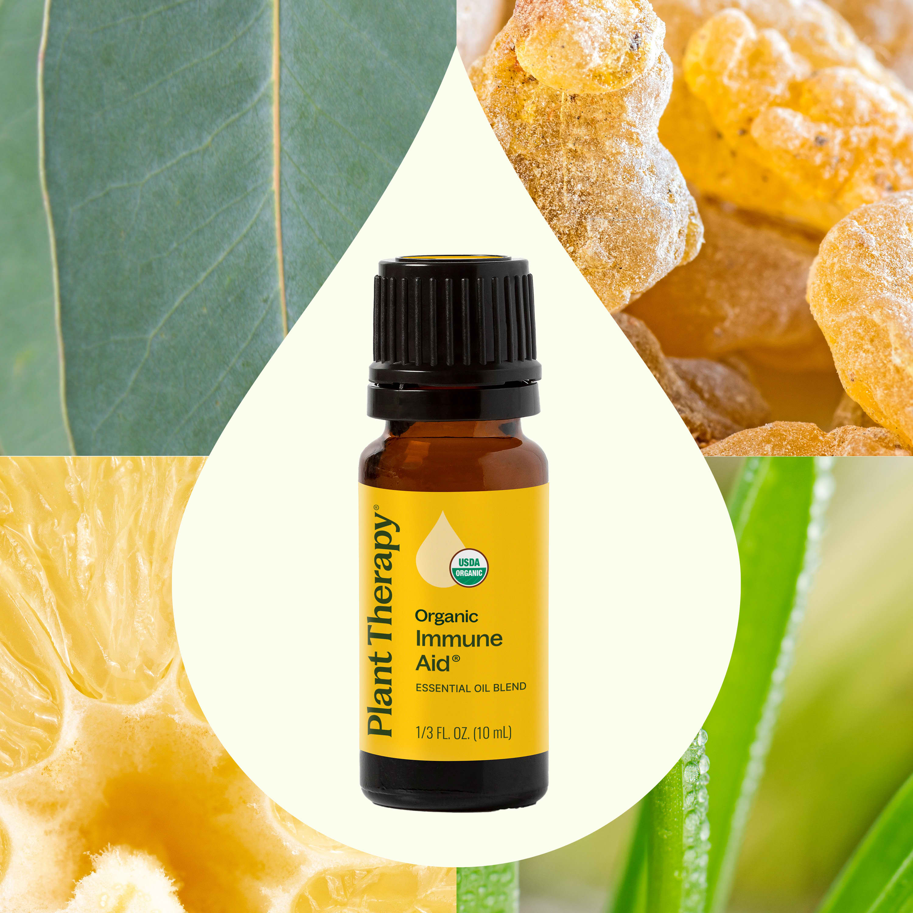 Organic Immune Aid Essential Oil Blend
