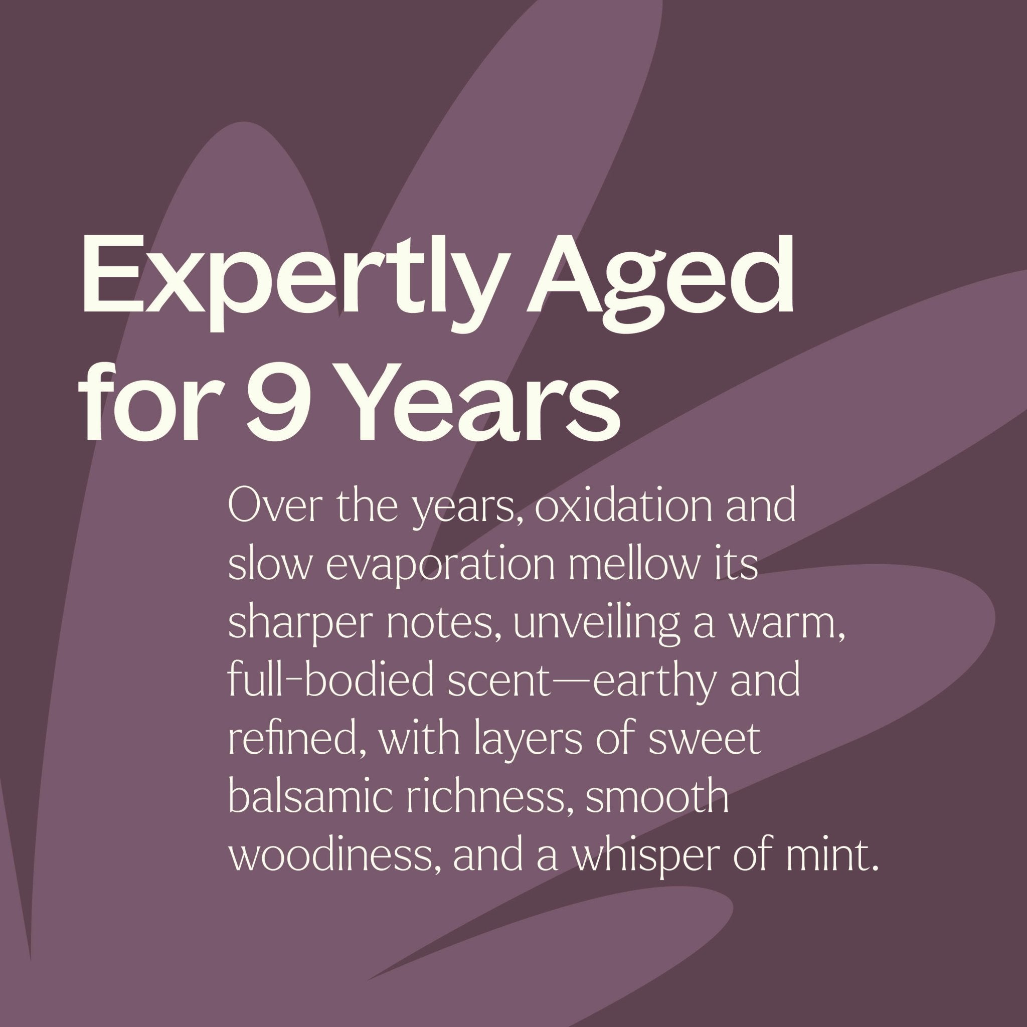Aged Dark Patchouli Essential Oil Plant Therapy
