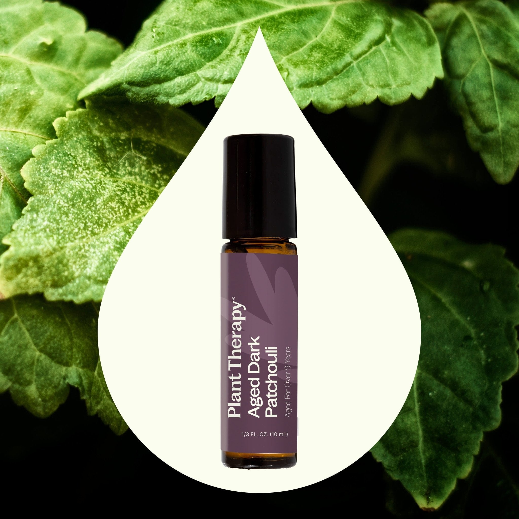 Aged Dark Patchouli Essential Oil Pre - Diluted Roll - On 10 ml Plant Therapy