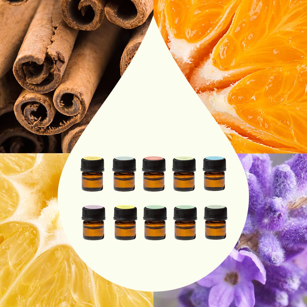 Aroma Flight 10 Count Set Plant Therapy