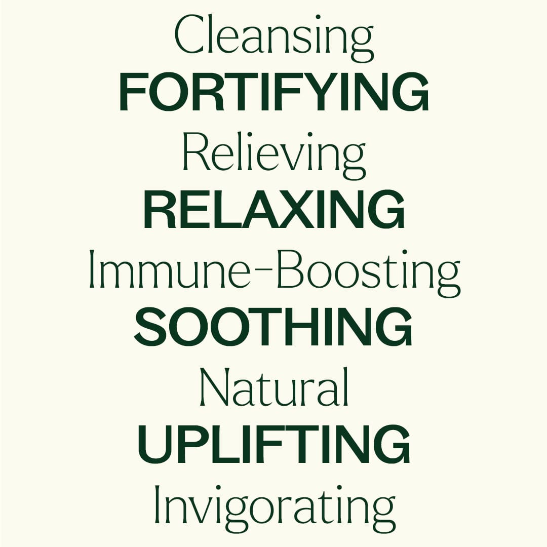 Aroma Flight 10 Count Set Plant Therapy