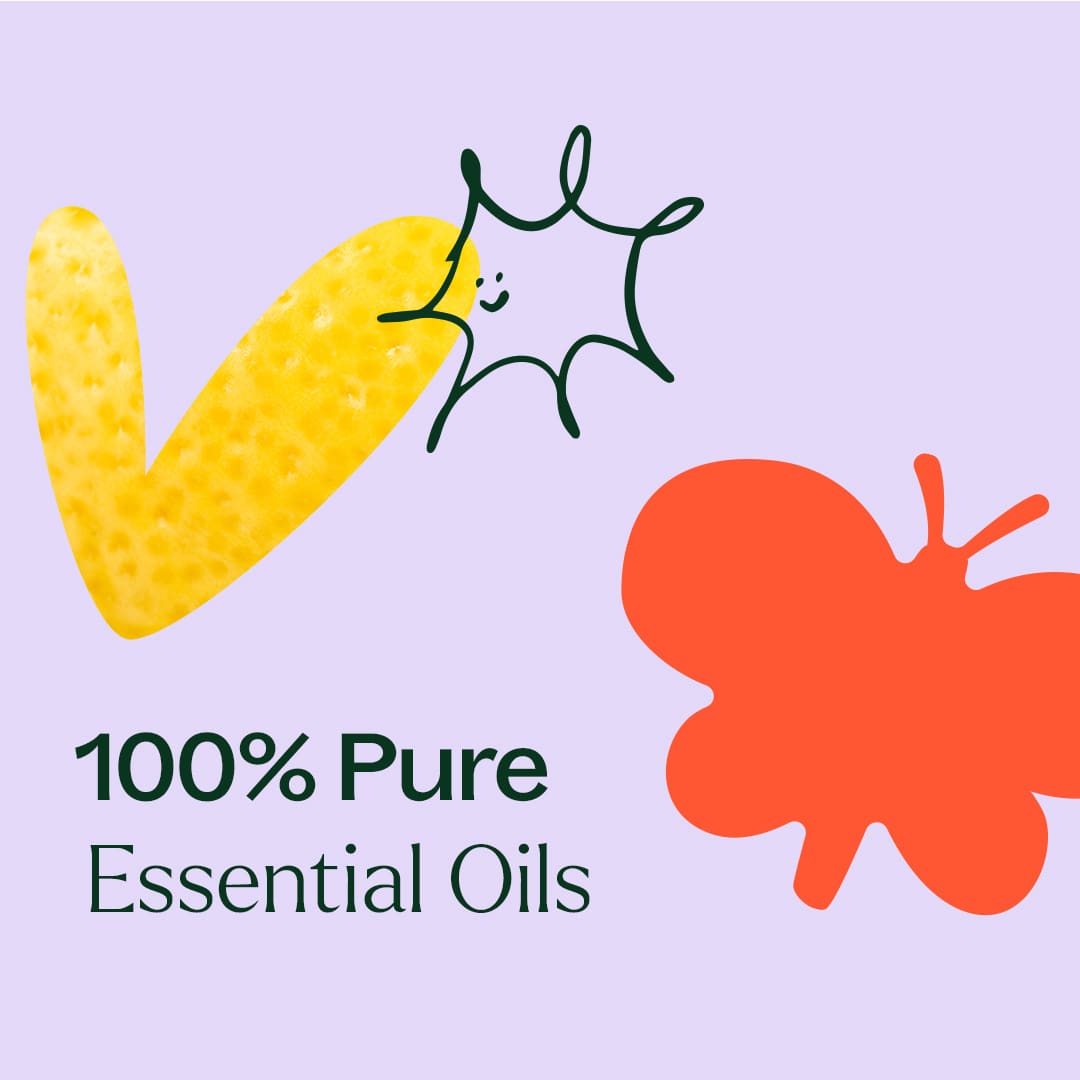 Aroma Flight 10 Count Set Plant Therapy