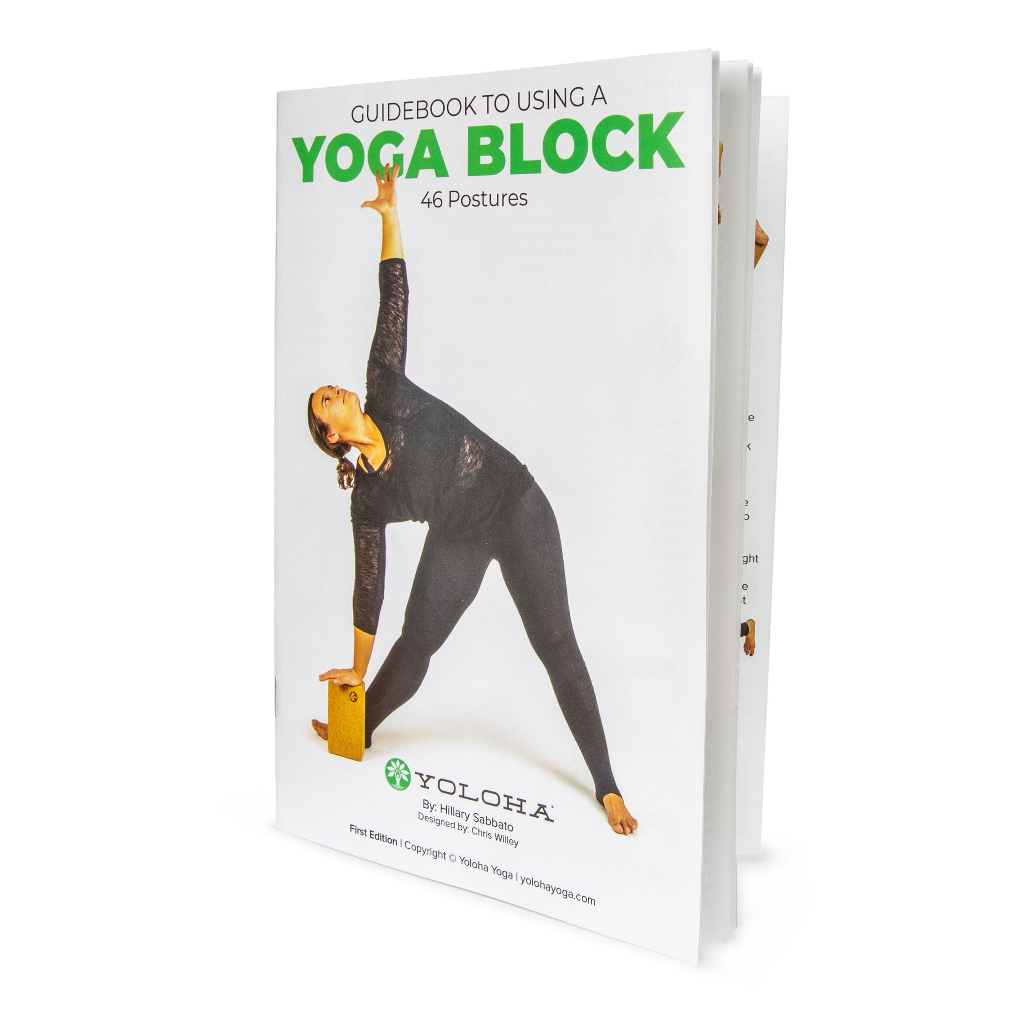 Artist Cork Yoga Block Set Yoloha Yoga