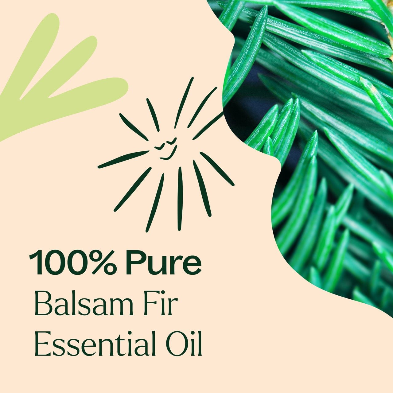 Balsam Fir Essential Oil Plant Therapy