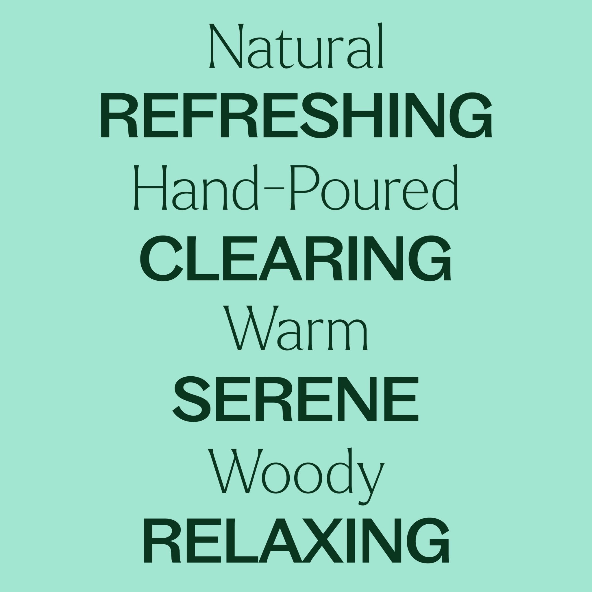 Balsam Noir Naturally Scented Candle Plant Therapy