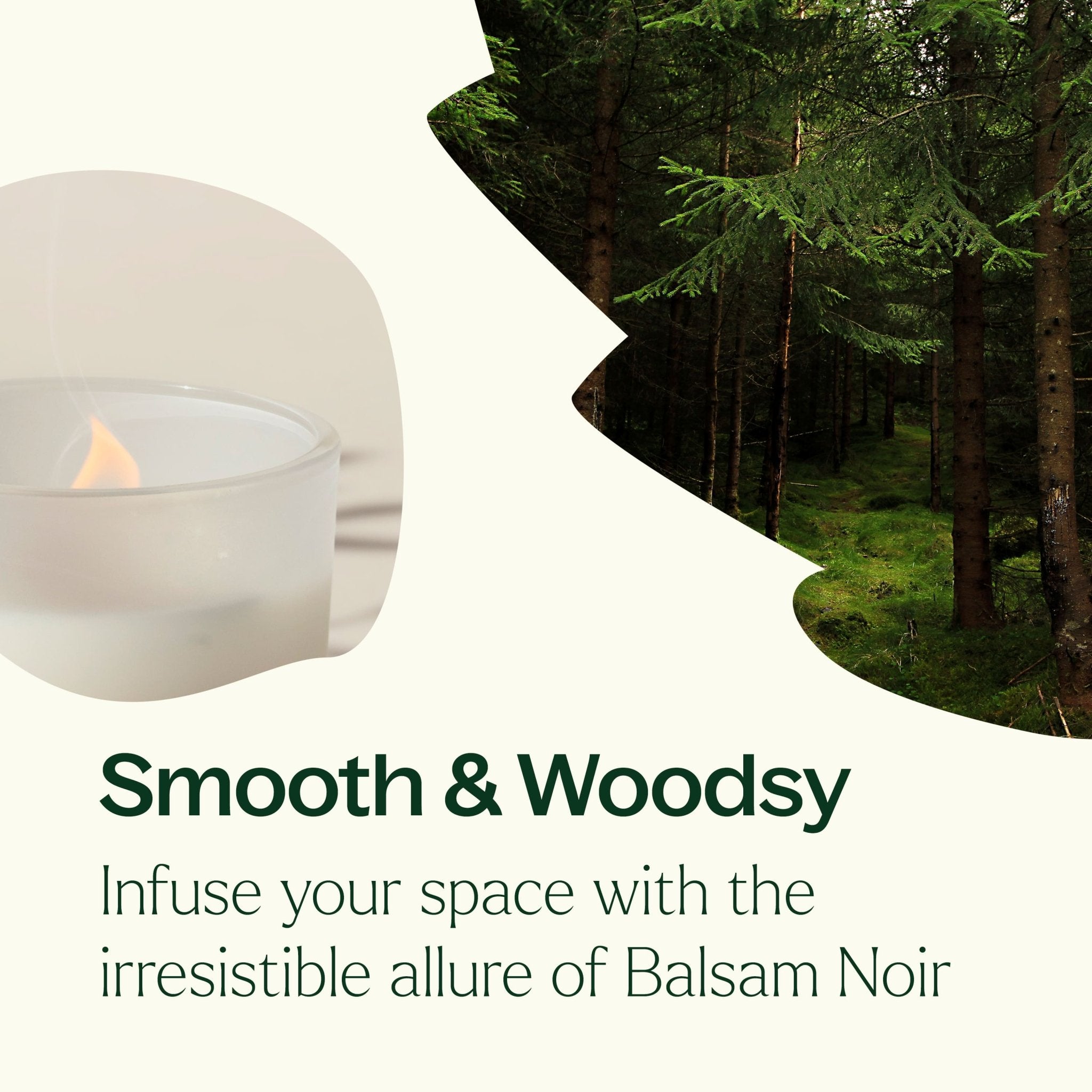 Balsam Noir Naturally Scented Candle Plant Therapy