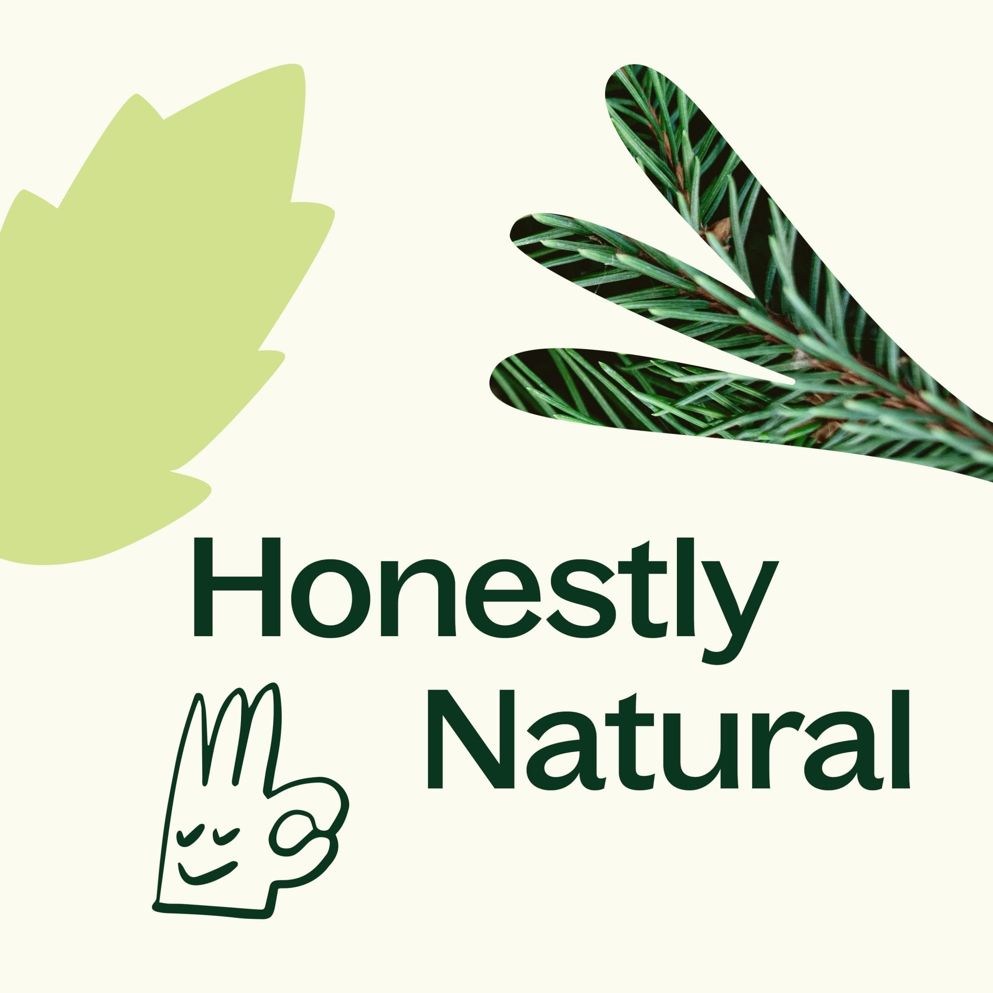 Balsam Noir Naturally Scented Candle Plant Therapy