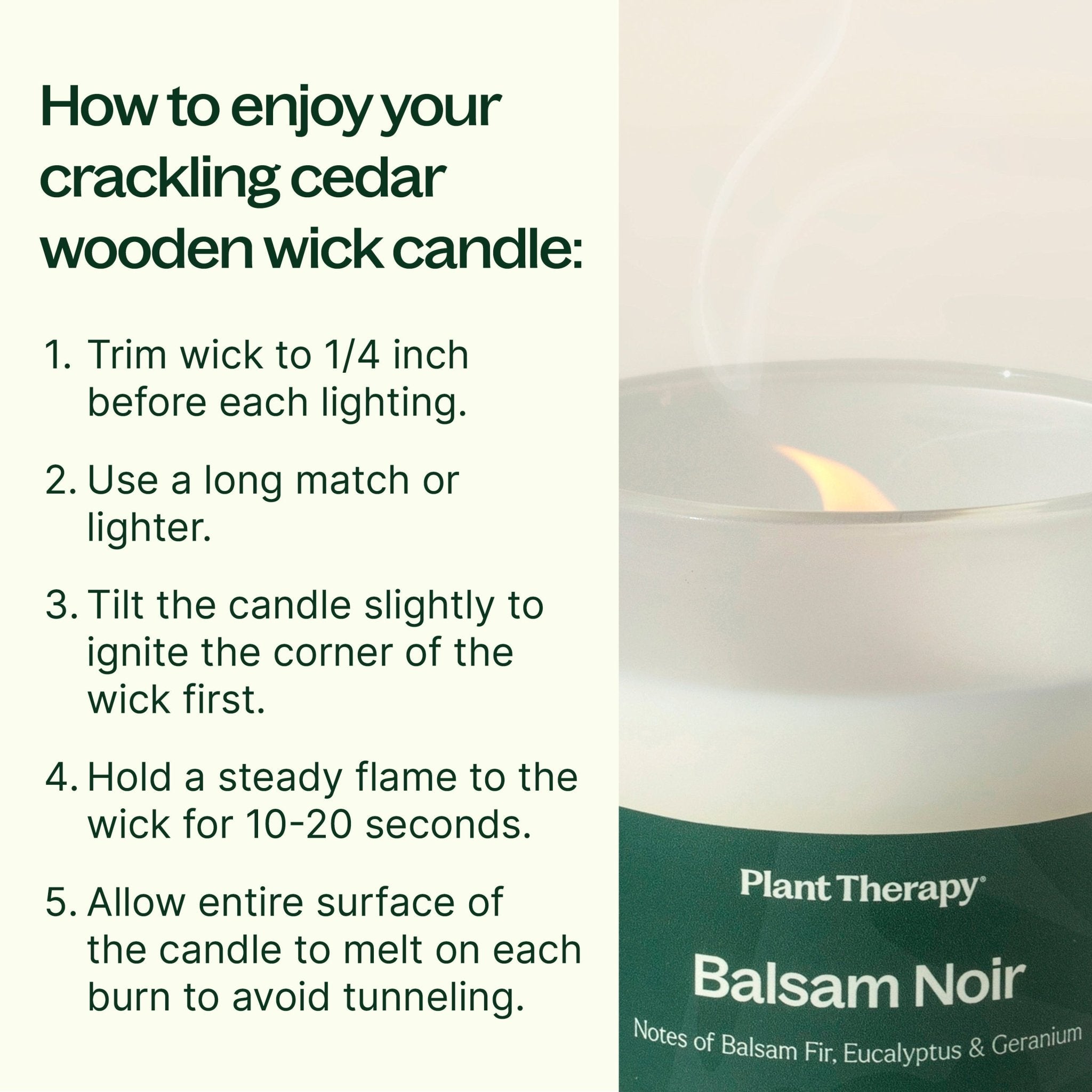 Balsam Noir Naturally Scented Candle Plant Therapy