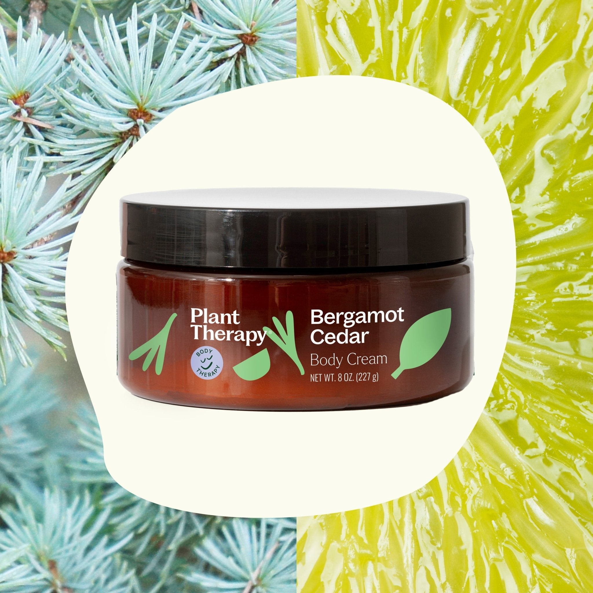 Bergamot Cedar Body Cream Plant Therapy