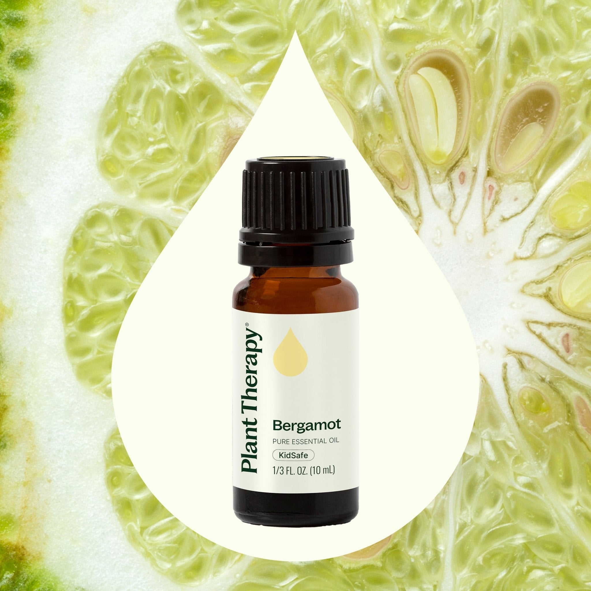 Bergamot Essential Oil Plant Therapy