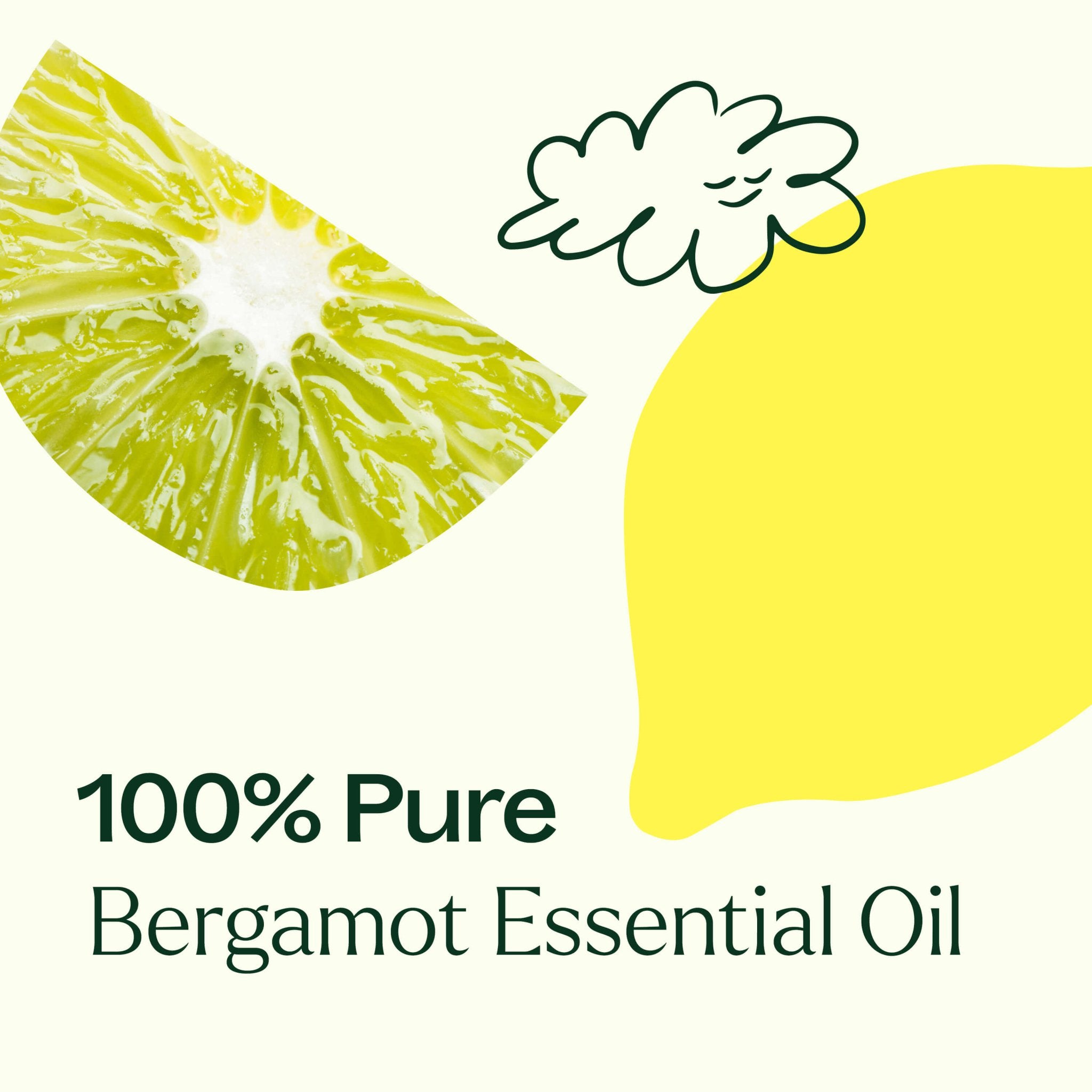 Bergamot Essential Oil Plant Therapy
