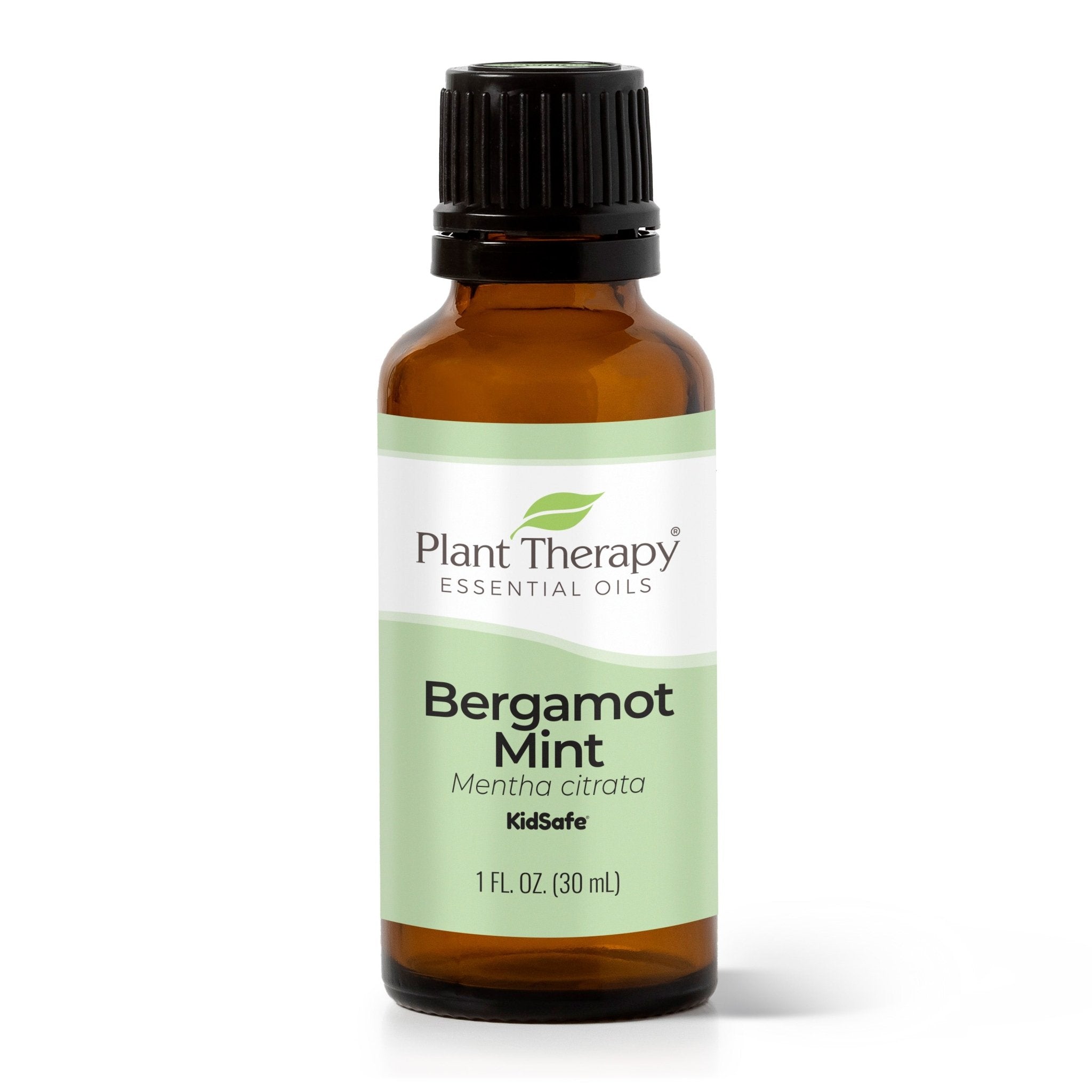 Bergamot Mint Essential Oil Plant Therapy