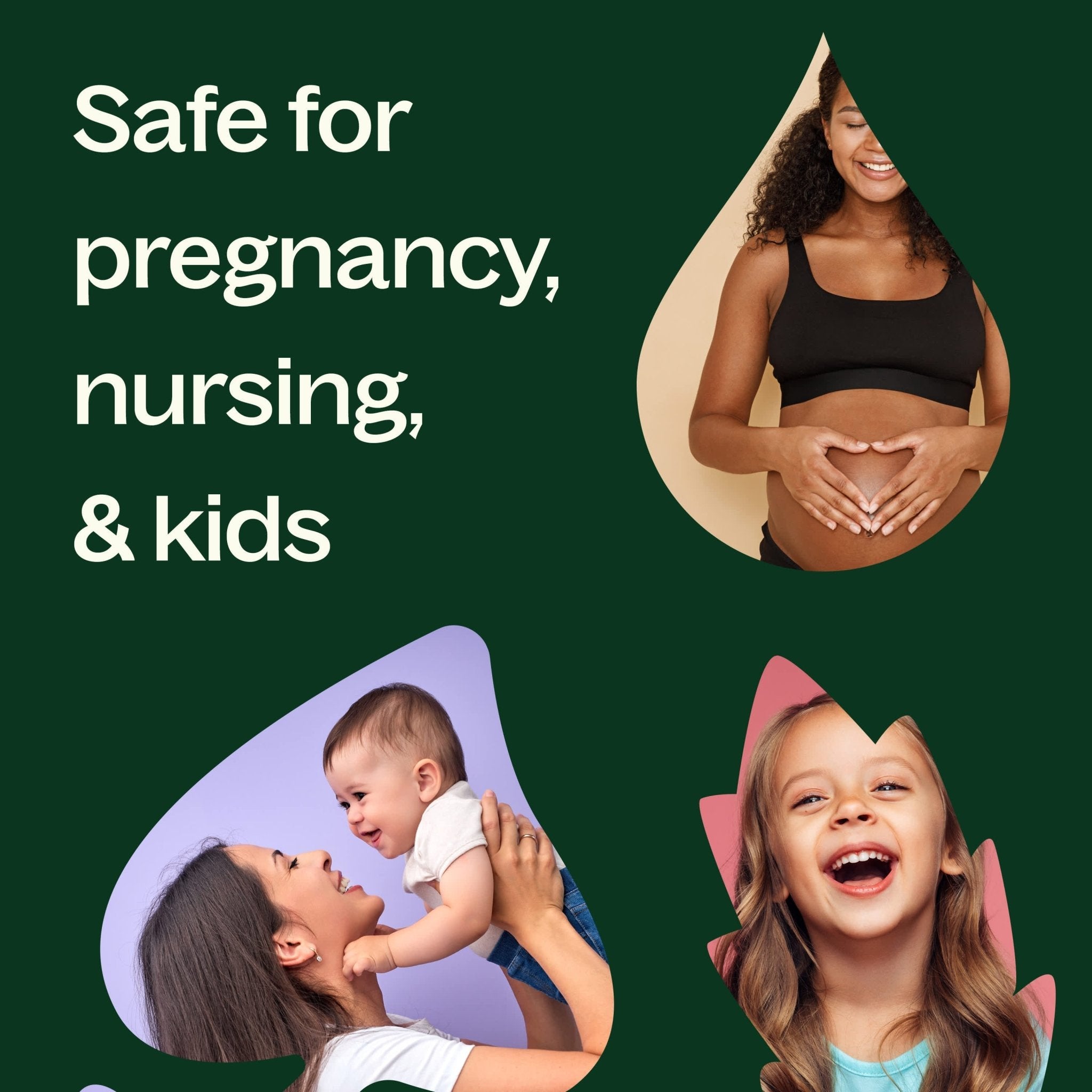 Black Spruce Essential Oil Plant Therapy