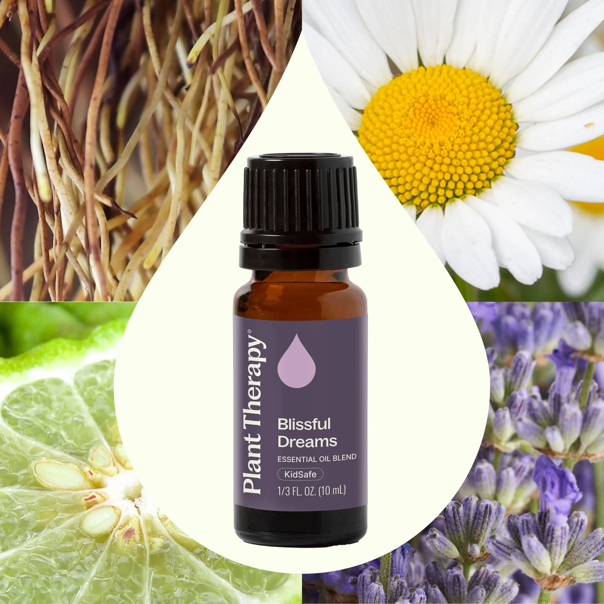 Blissful Dreams Essential Oil Plant Therapy