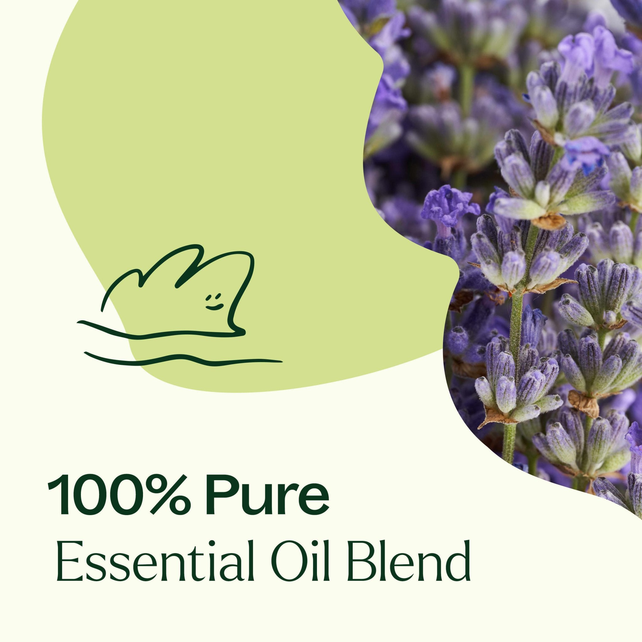 Blissful Dreams Essential Oil Plant Therapy