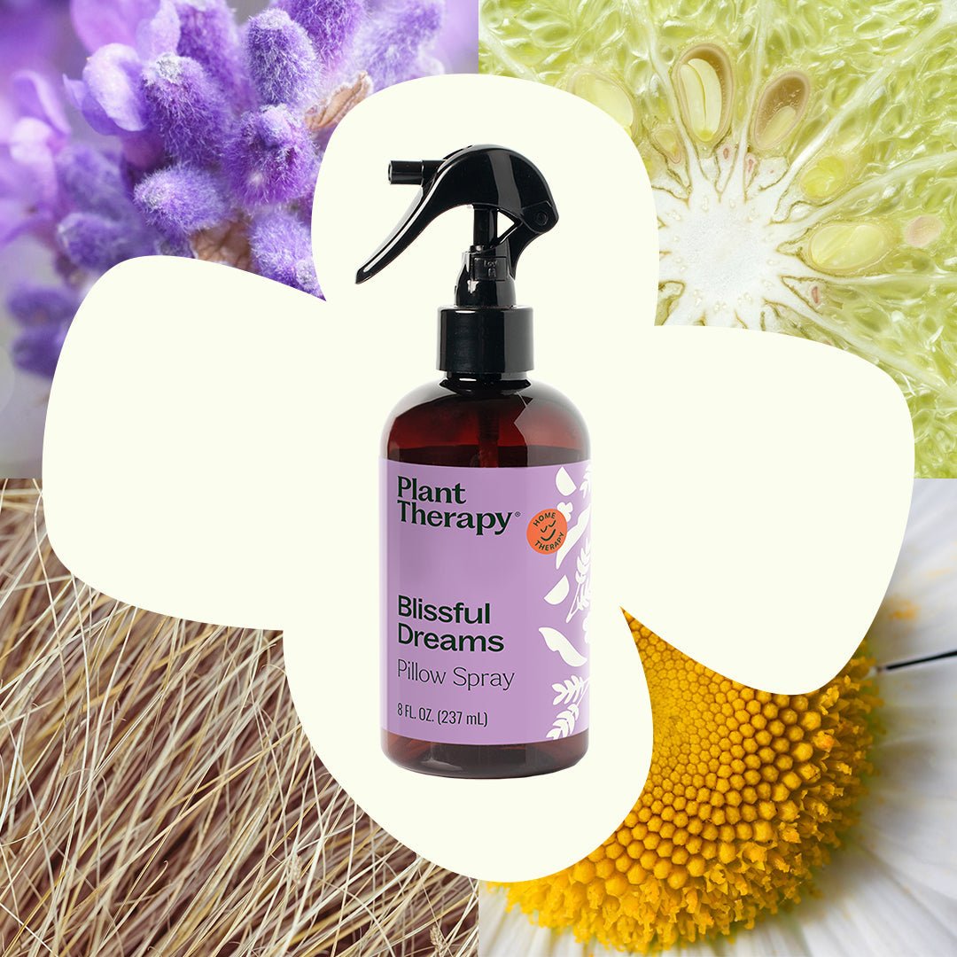 Blissful Dreams Lavender Pillow Spray Plant Therapy
