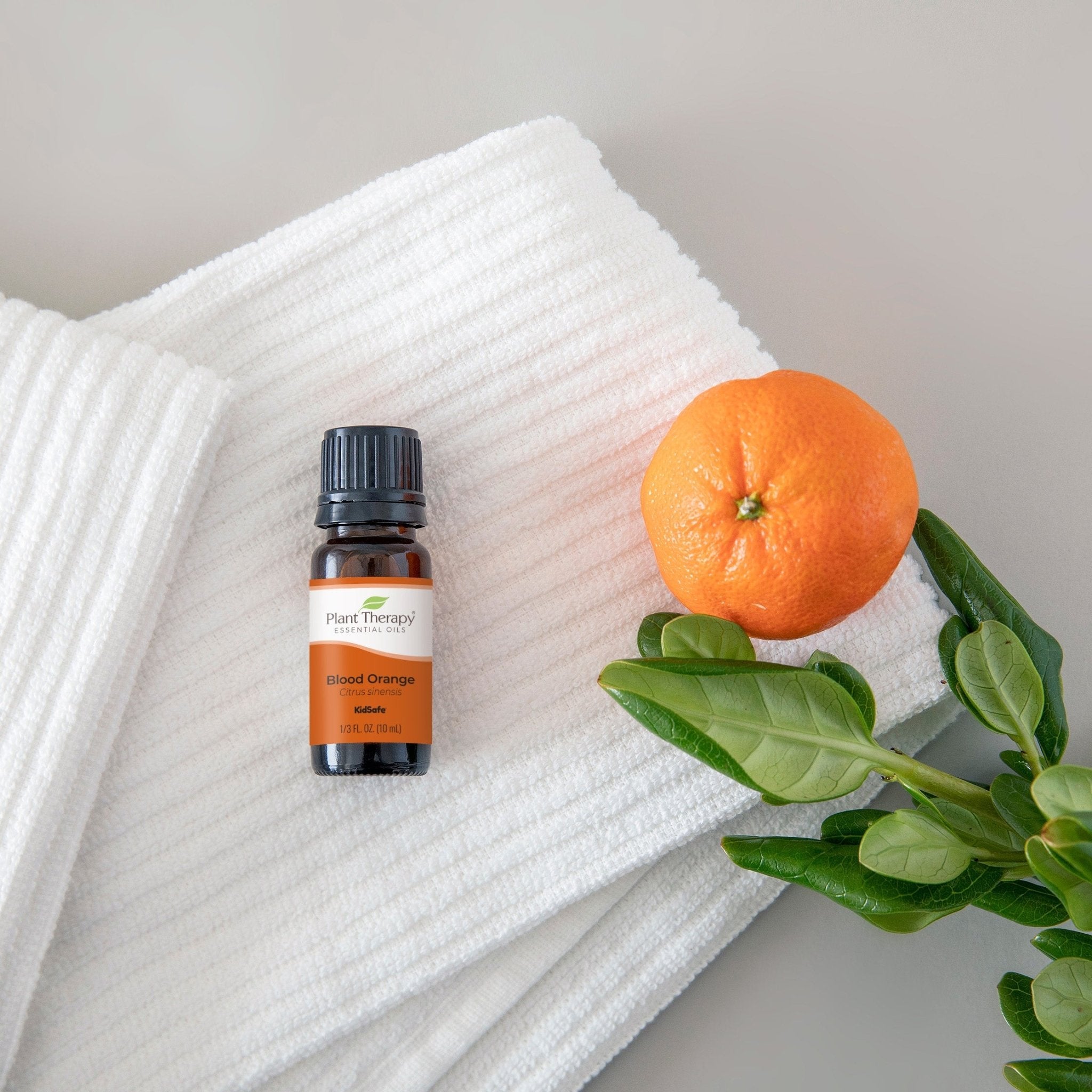 Blood Orange Essential Oil Plant Therapy