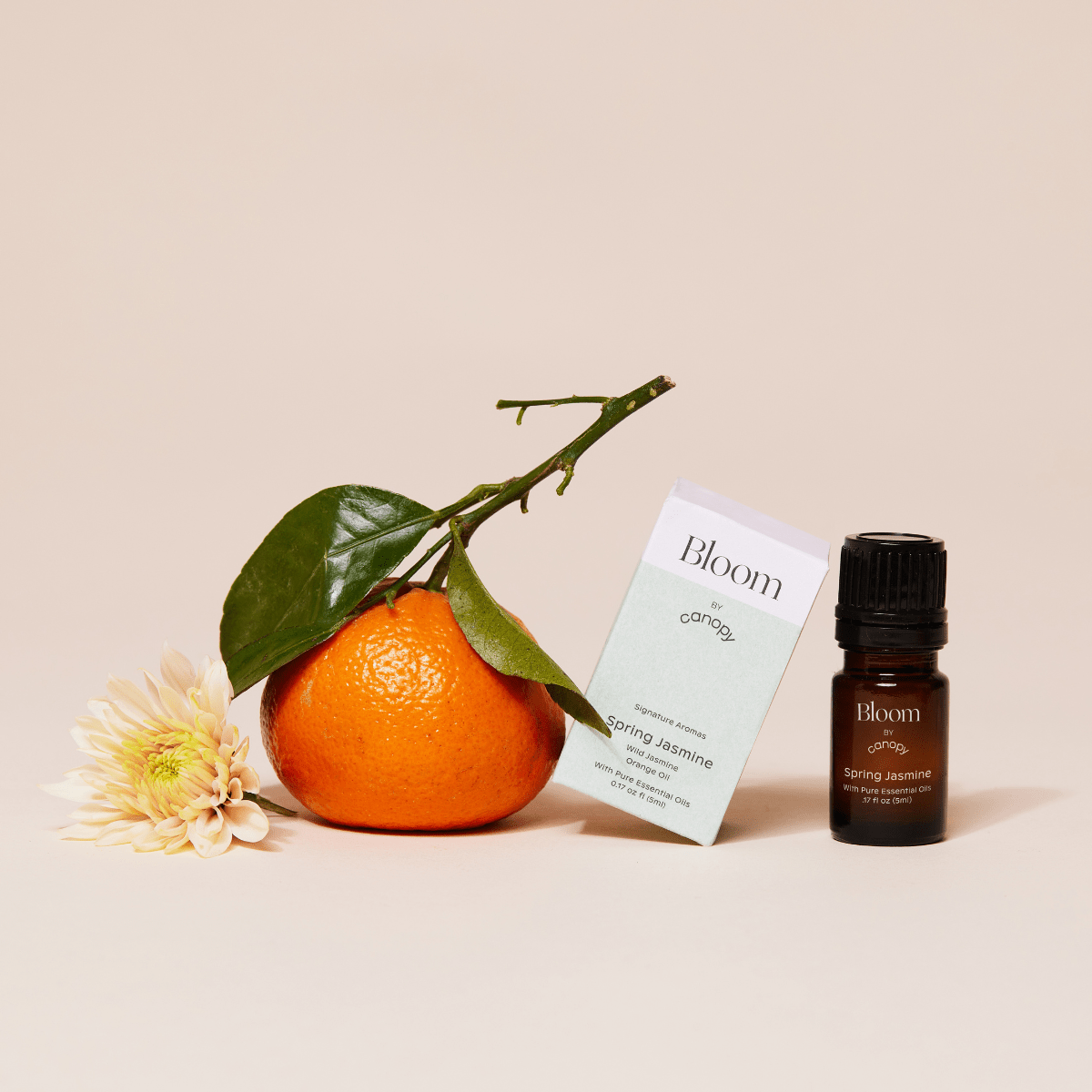 Bloom Aroma Kit Canopy