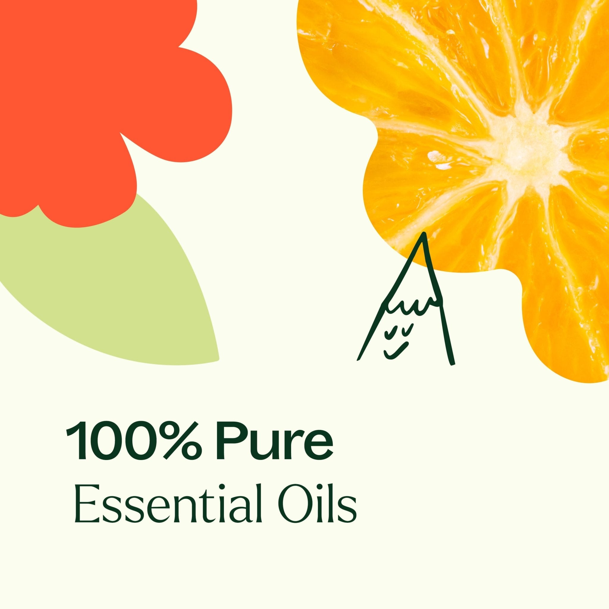 Blues Buster Essential Oil Blend Plant Therapy