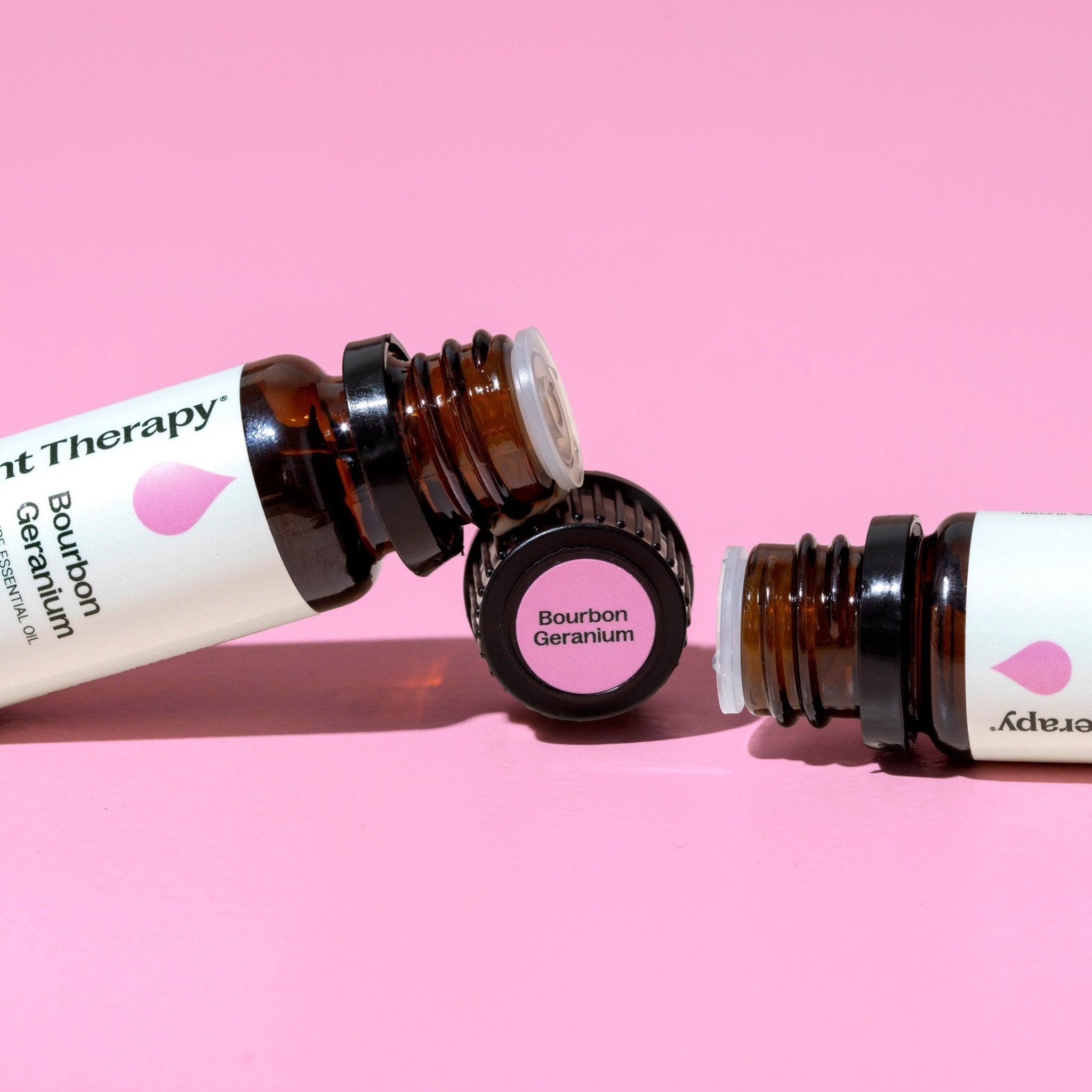 Bourbon Geranium Essential Oil Plant Therapy