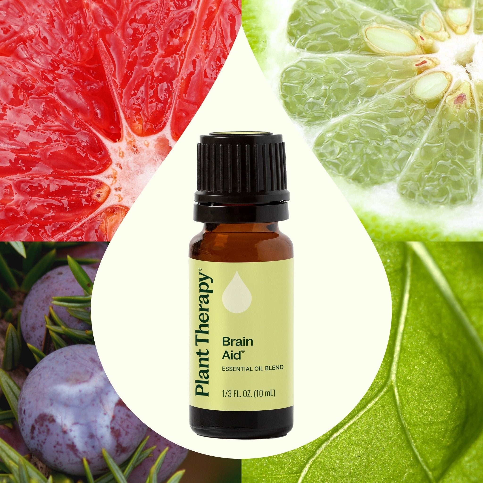 Brain Aid Essential Oil Blend Plant Therapy