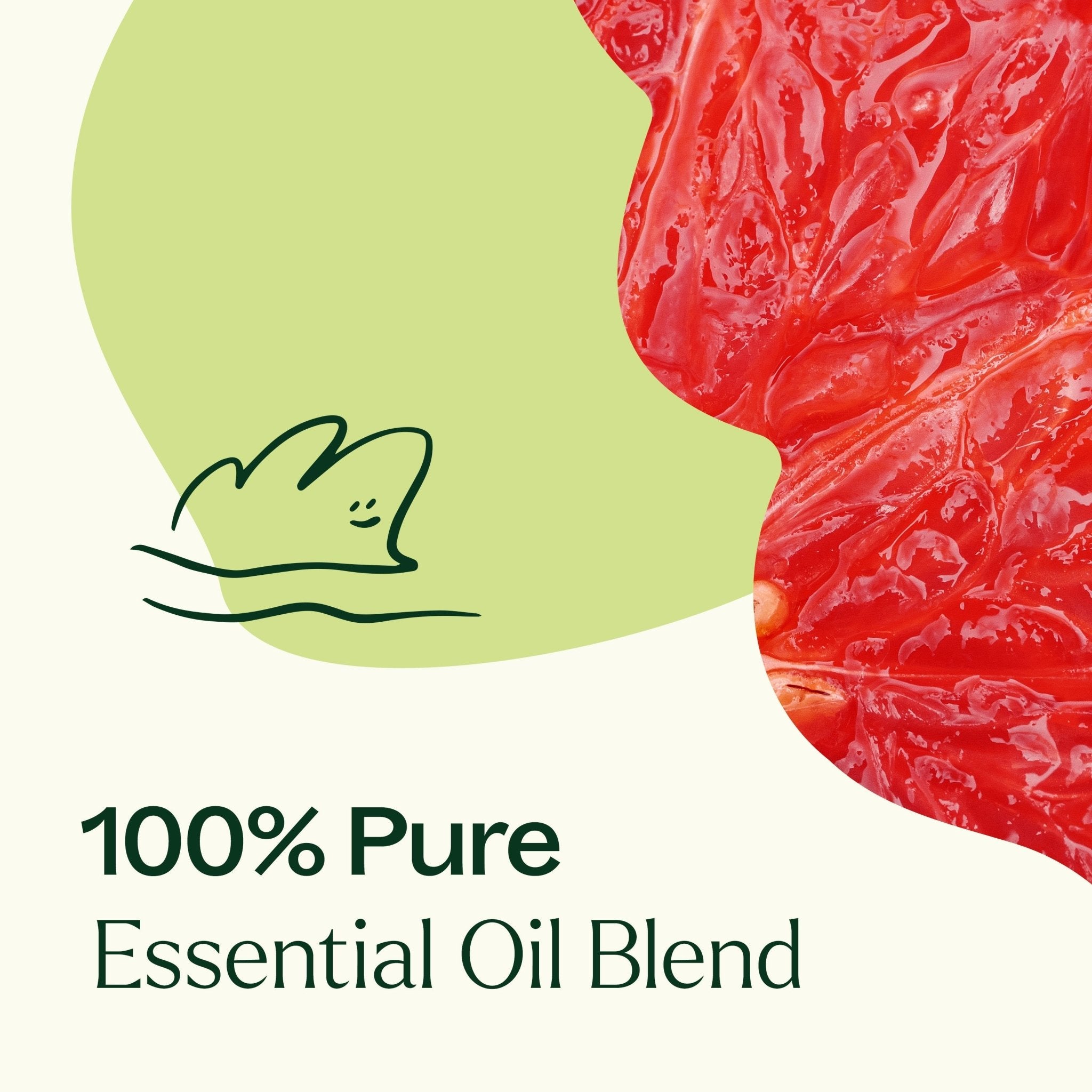 Brain Aid Essential Oil Blend Plant Therapy