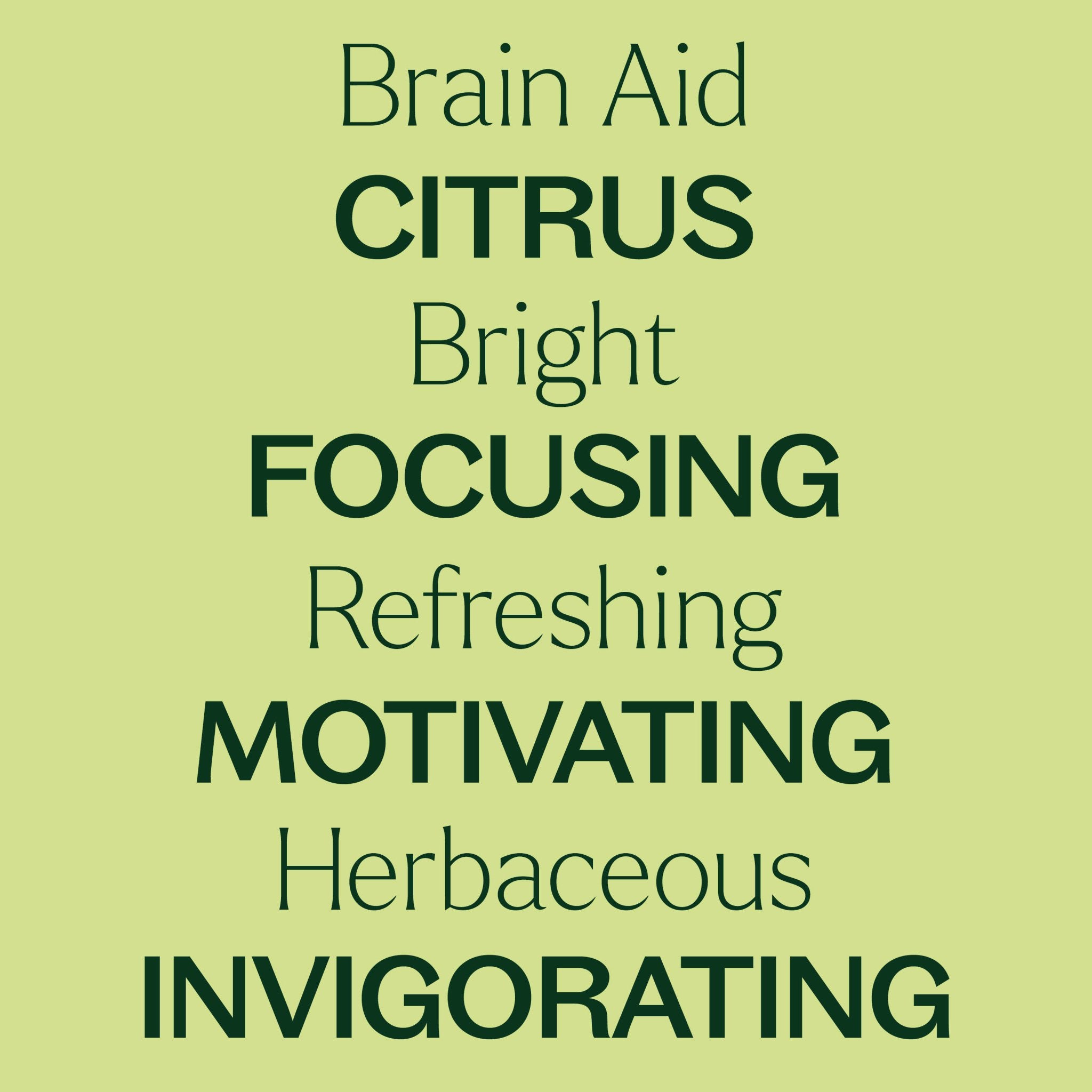 Brain Aid Essential Oil Blend Pre - Diluted Roll - On Plant Therapy