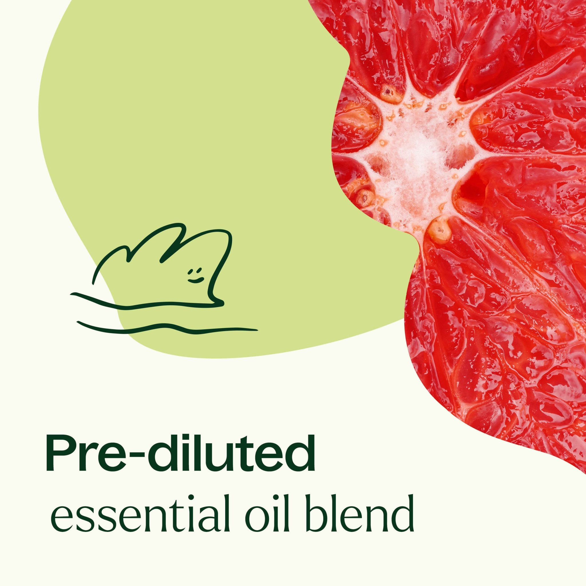 Brain Aid Essential Oil Blend Pre - Diluted Roll - On Plant Therapy