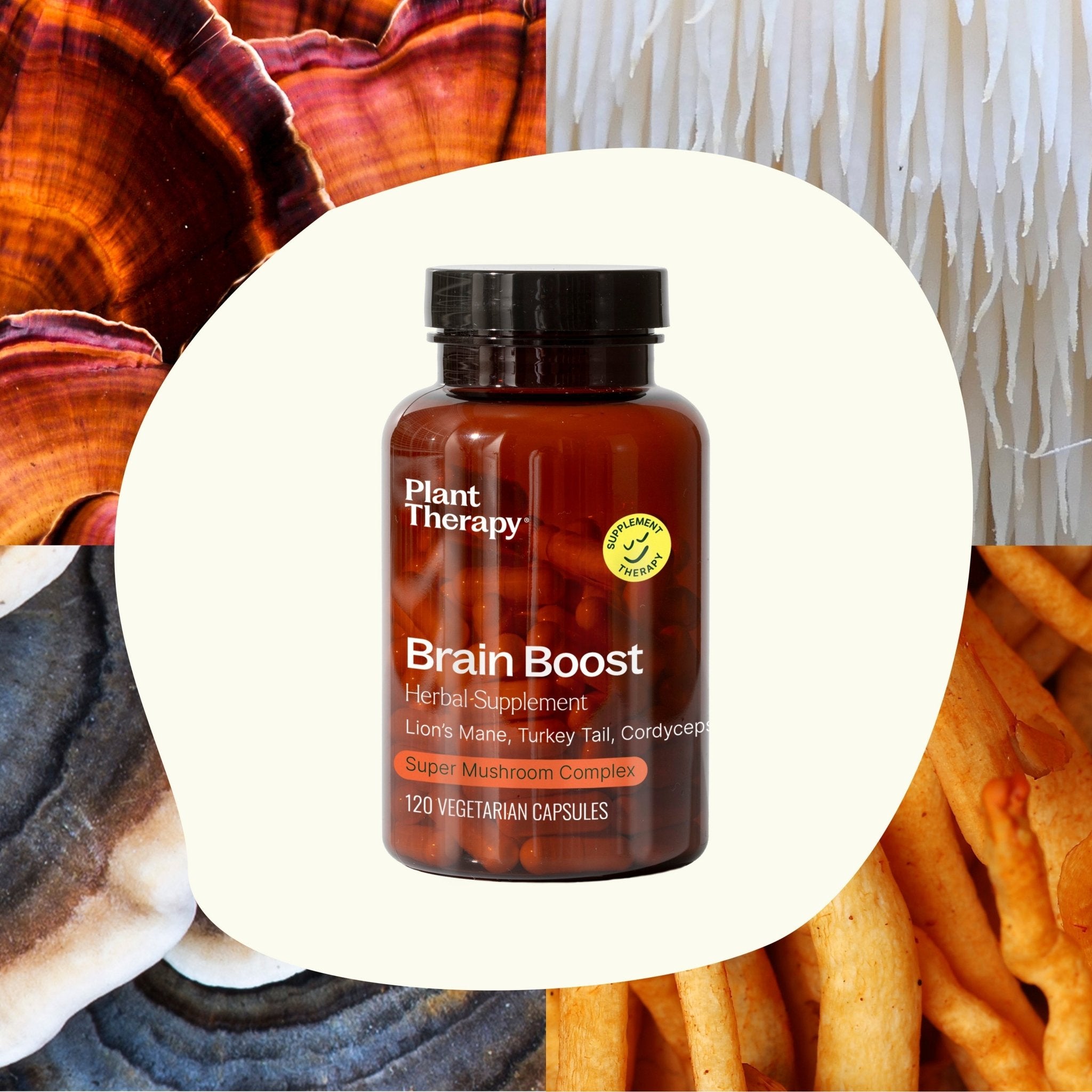 Brain Boost Herbal Supplement - 120 Capsules Plant Therapy