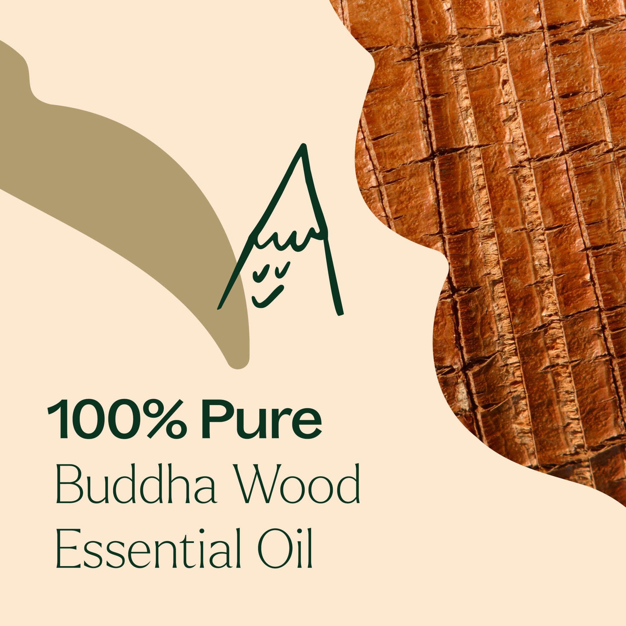 Buddha Wood Essential Oil Plant Therapy