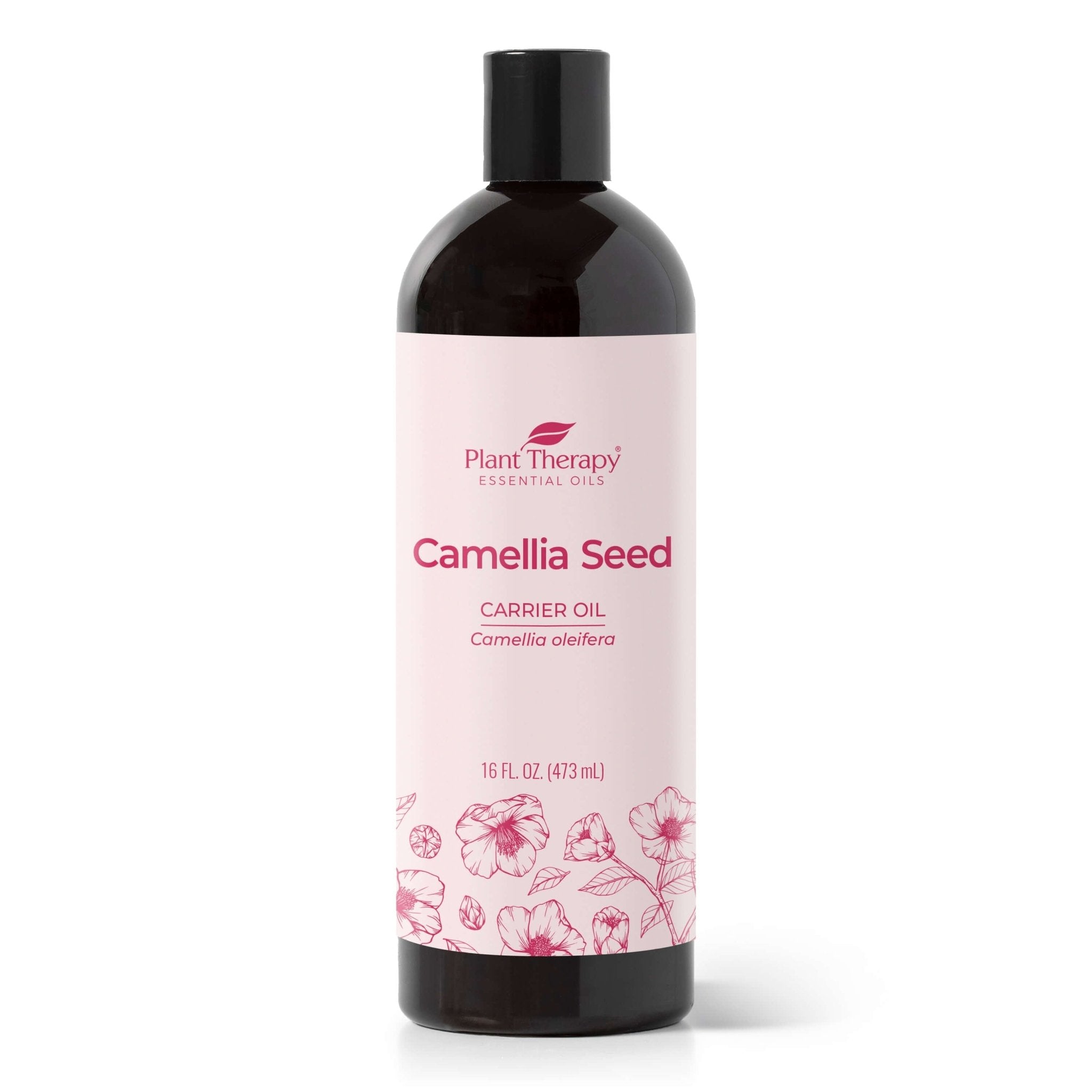Camellia Seed Carrier Oil Plant Therapy