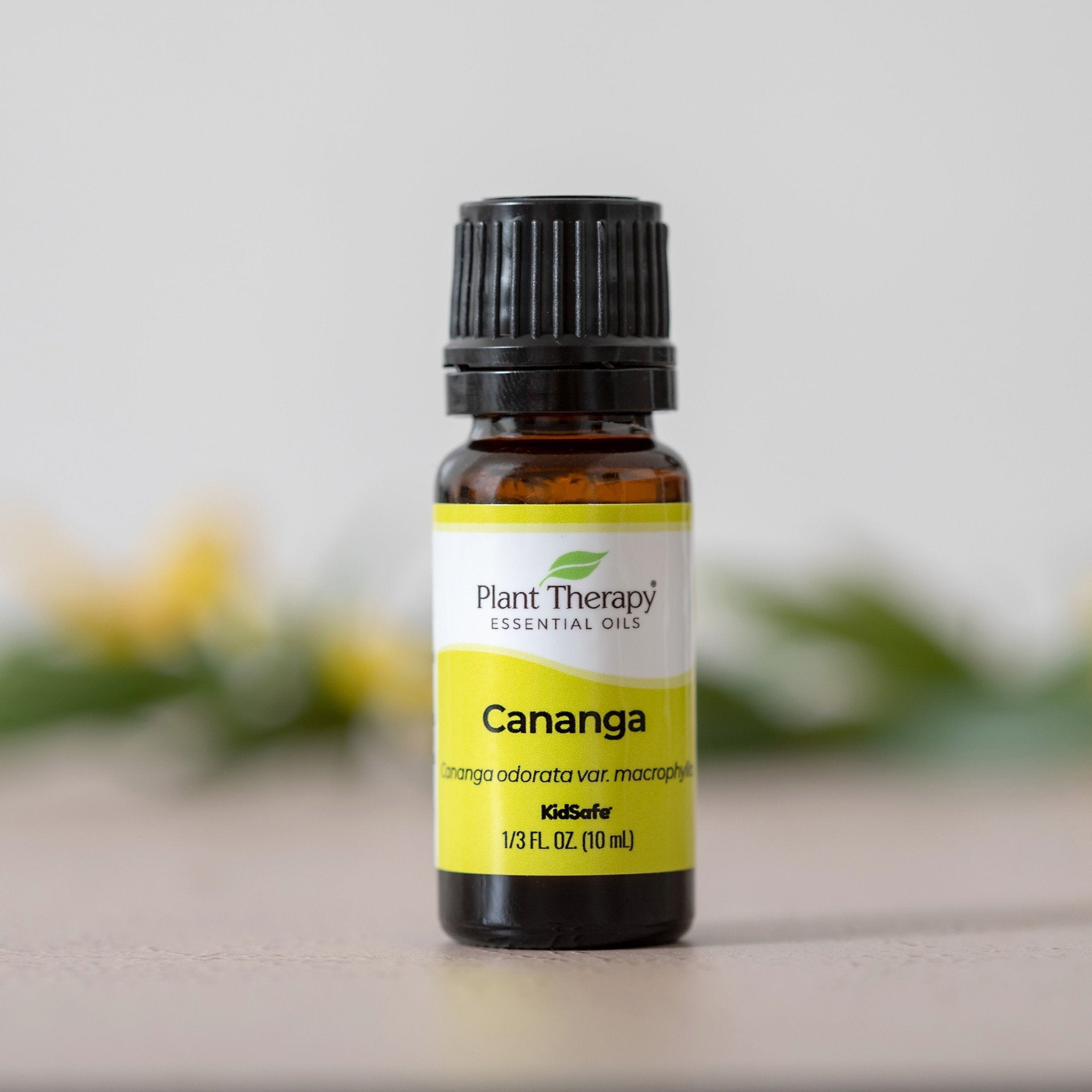 Cananga Essential Oil Plant Therapy