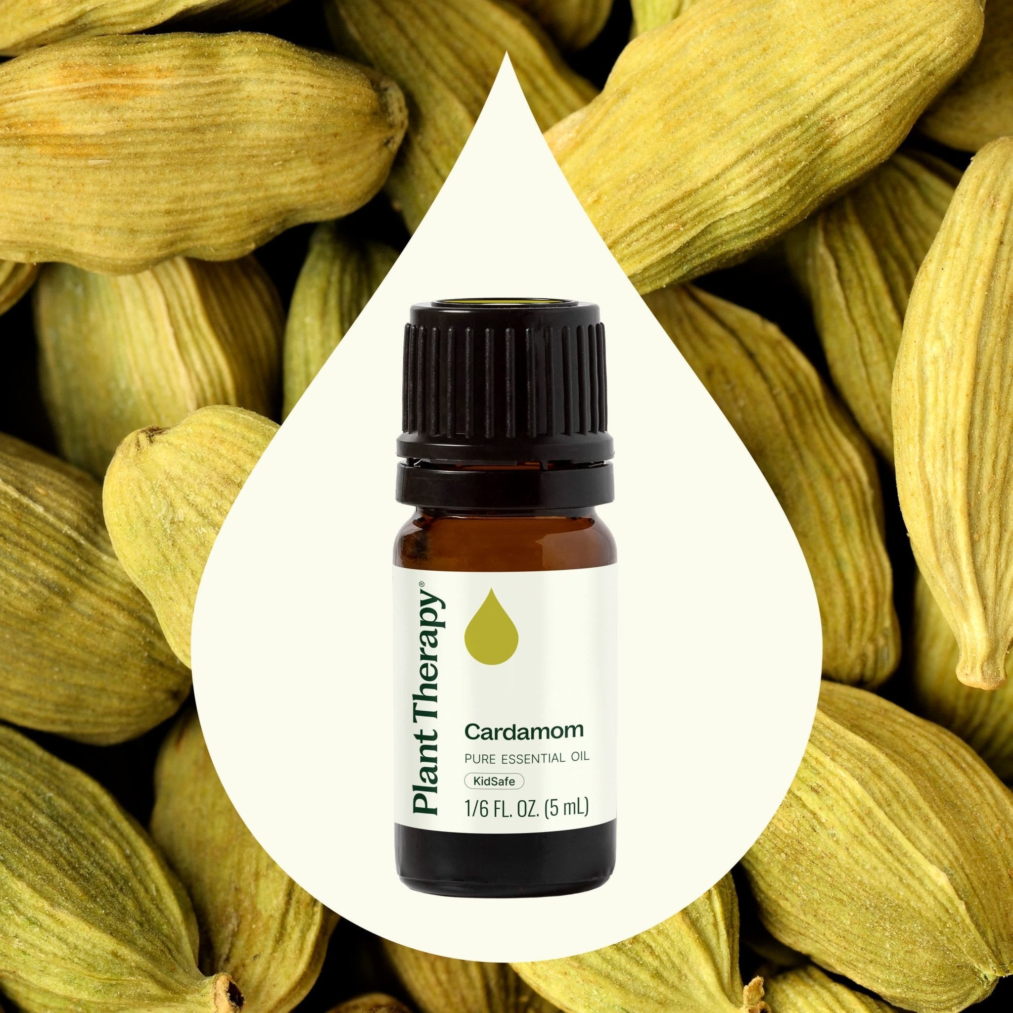 Cardamom Essential Oil Plant Therapy