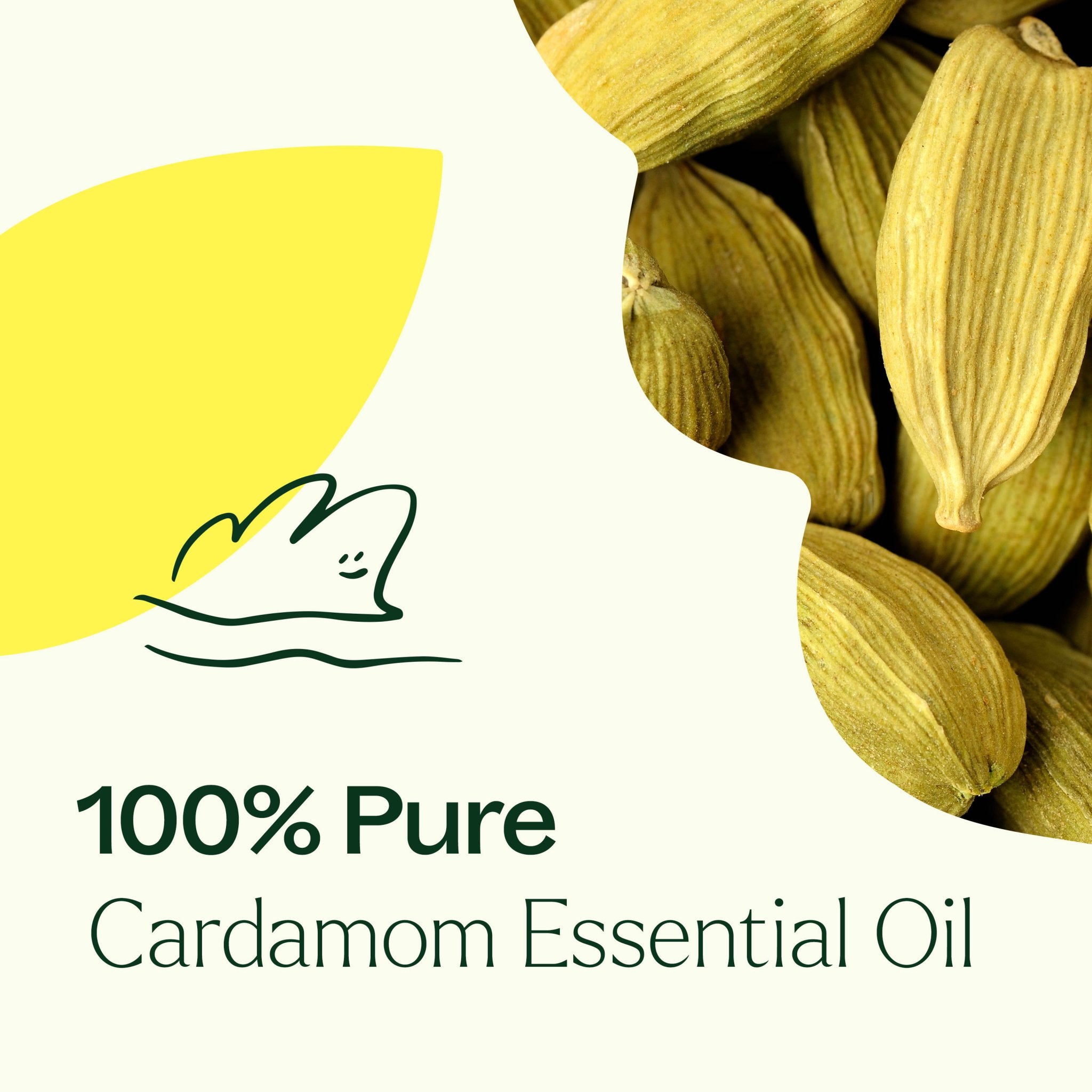 Cardamom Essential Oil Plant Therapy