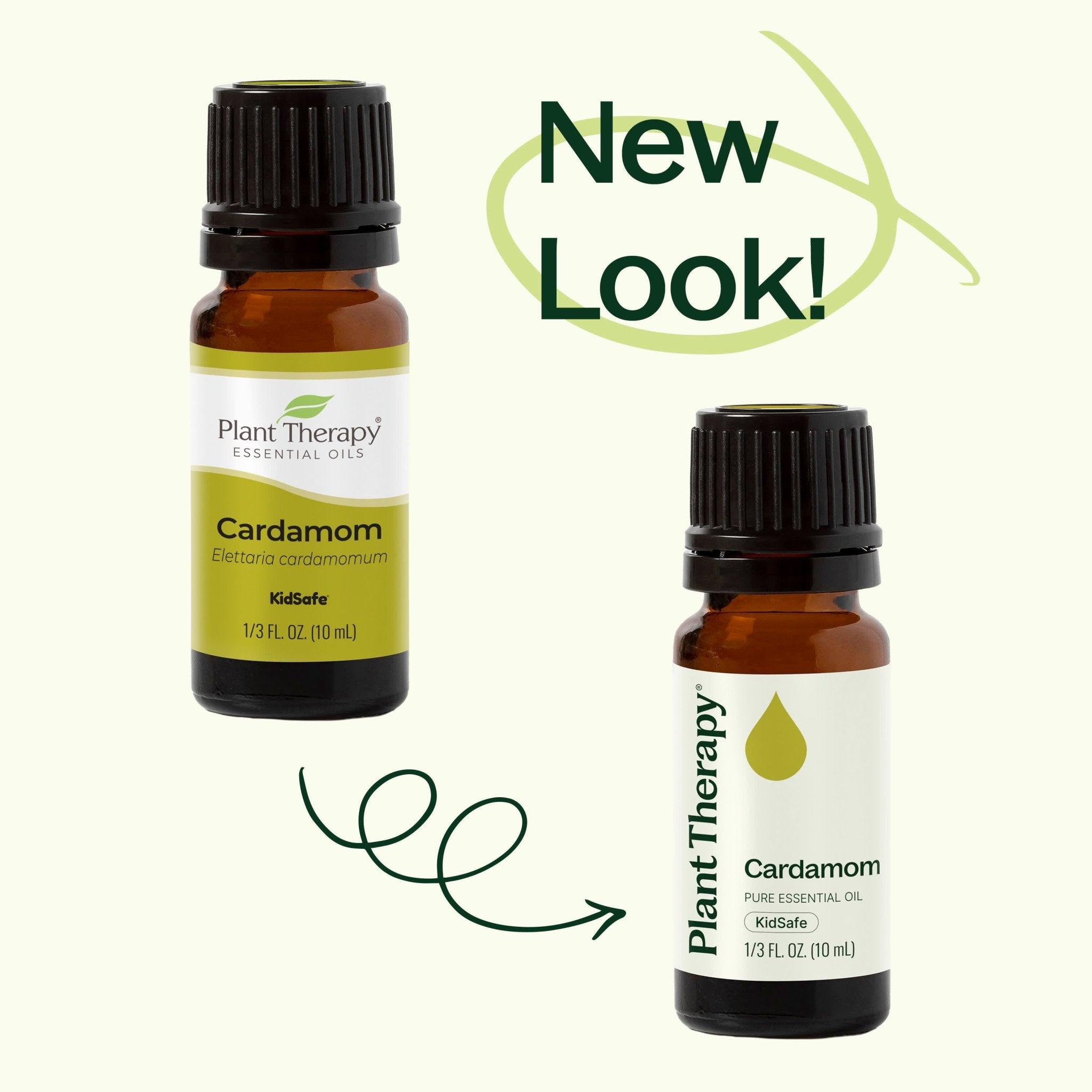Cardamom Essential Oil Plant Therapy