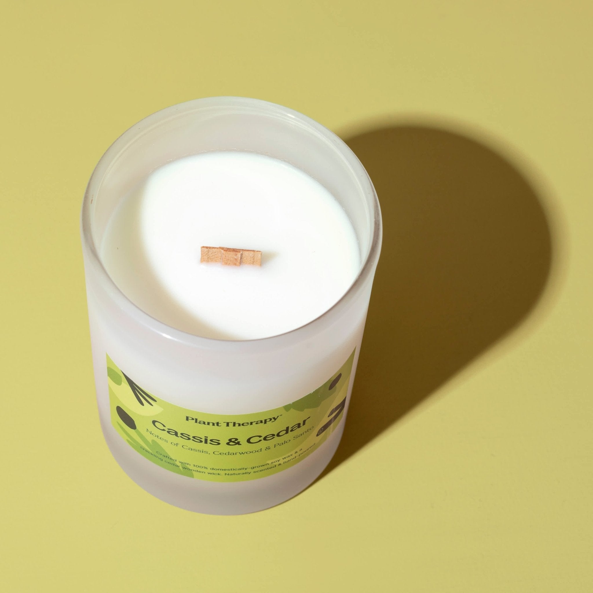 Cassis & Cedar Naturally Scented Candle Plant Therapy