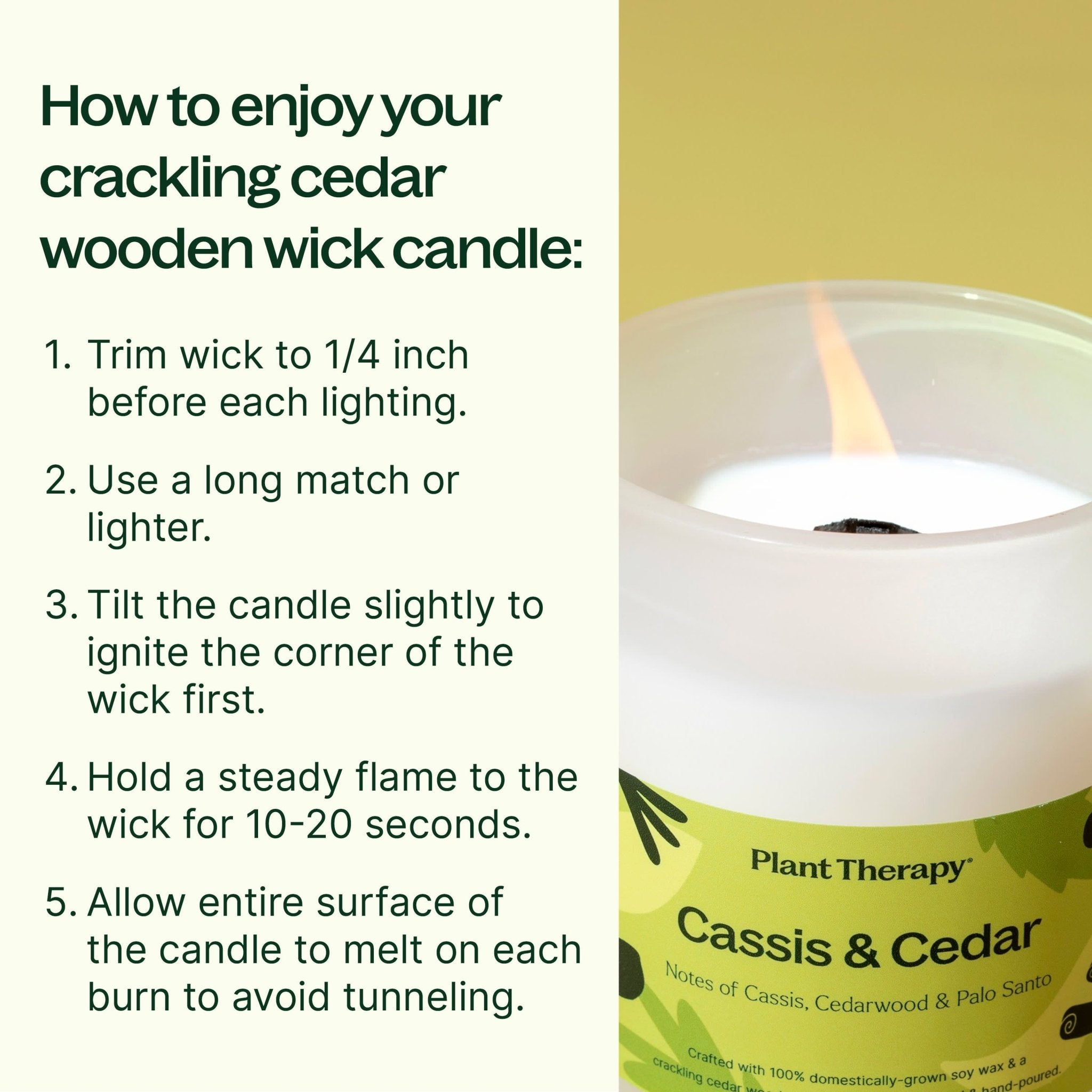 Cassis & Cedar Naturally Scented Candle Plant Therapy
