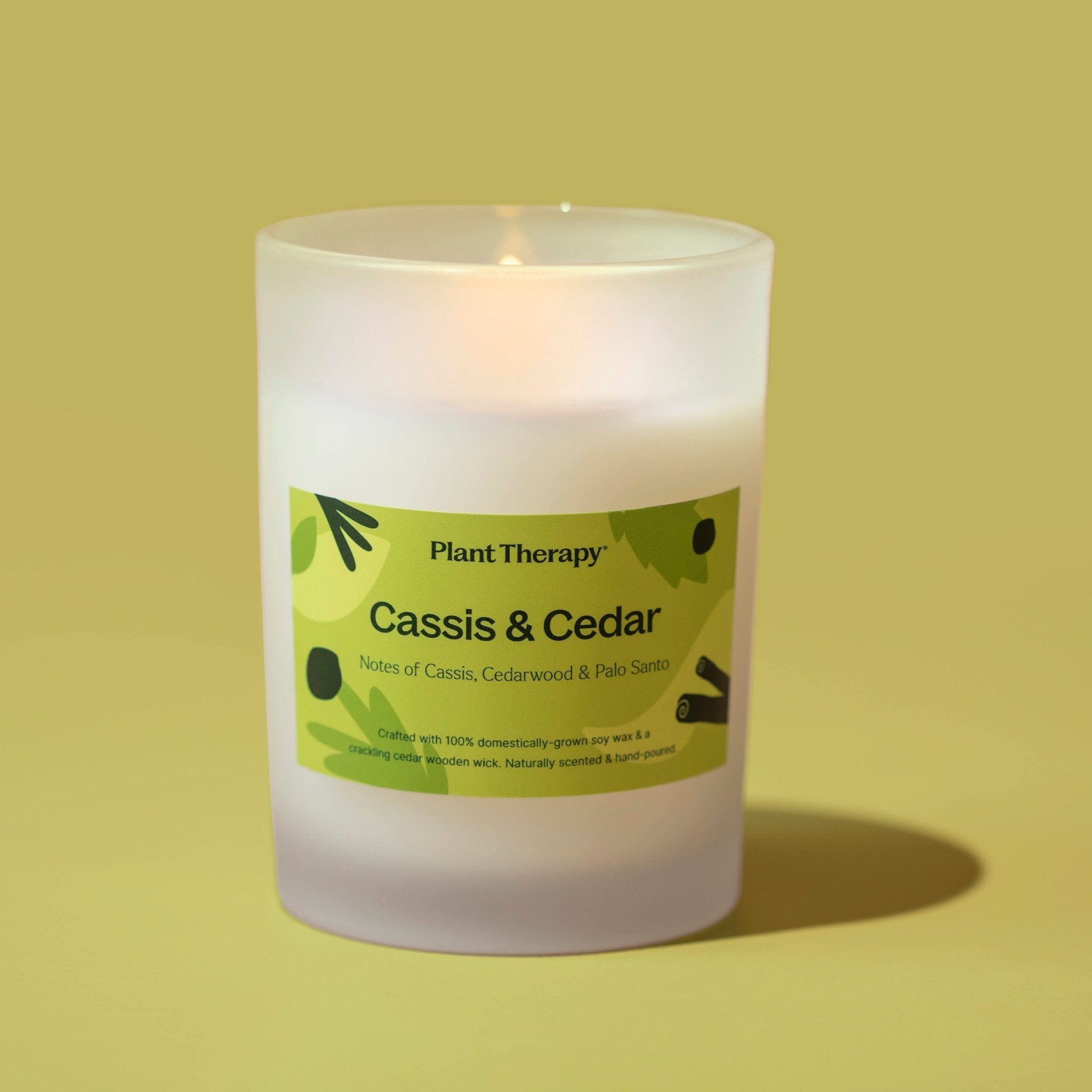 Cassis & Cedar Naturally Scented Candle Plant Therapy