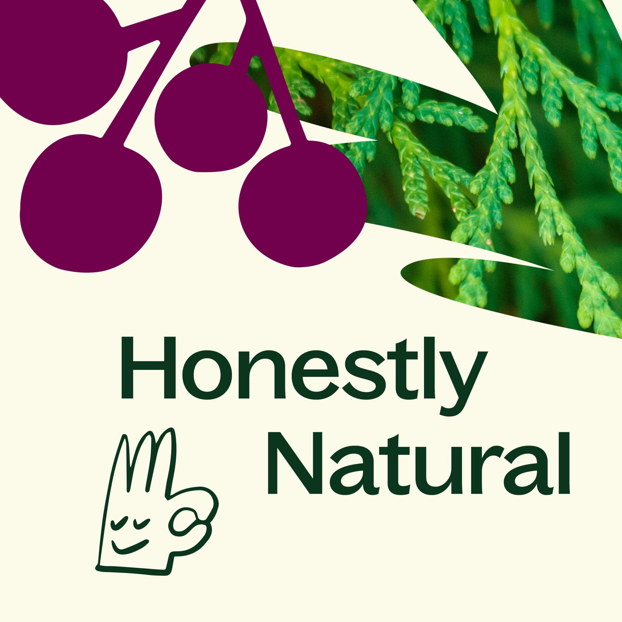 Cassis & Cedar Naturally Scented Candle Plant Therapy