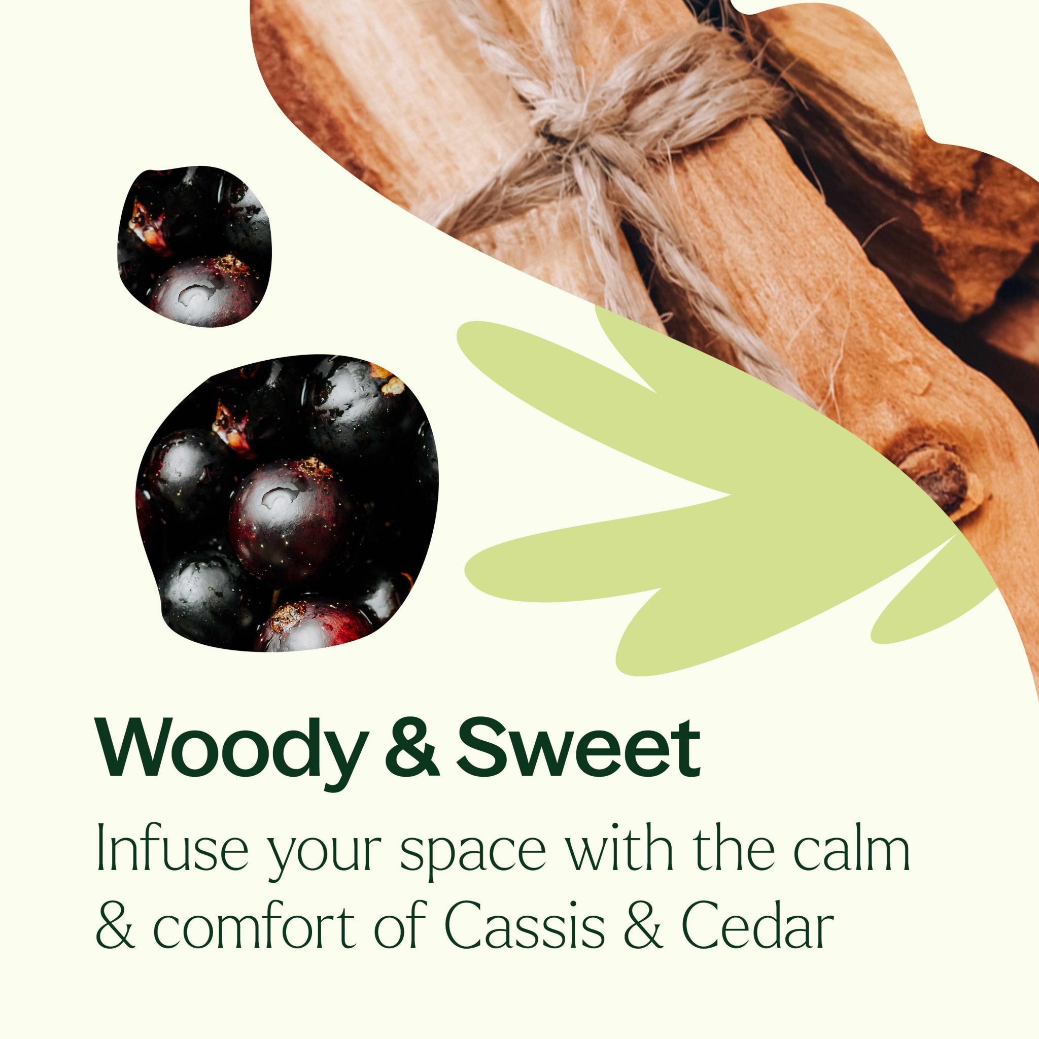 Cassis & Cedar Naturally Scented Candle Plant Therapy