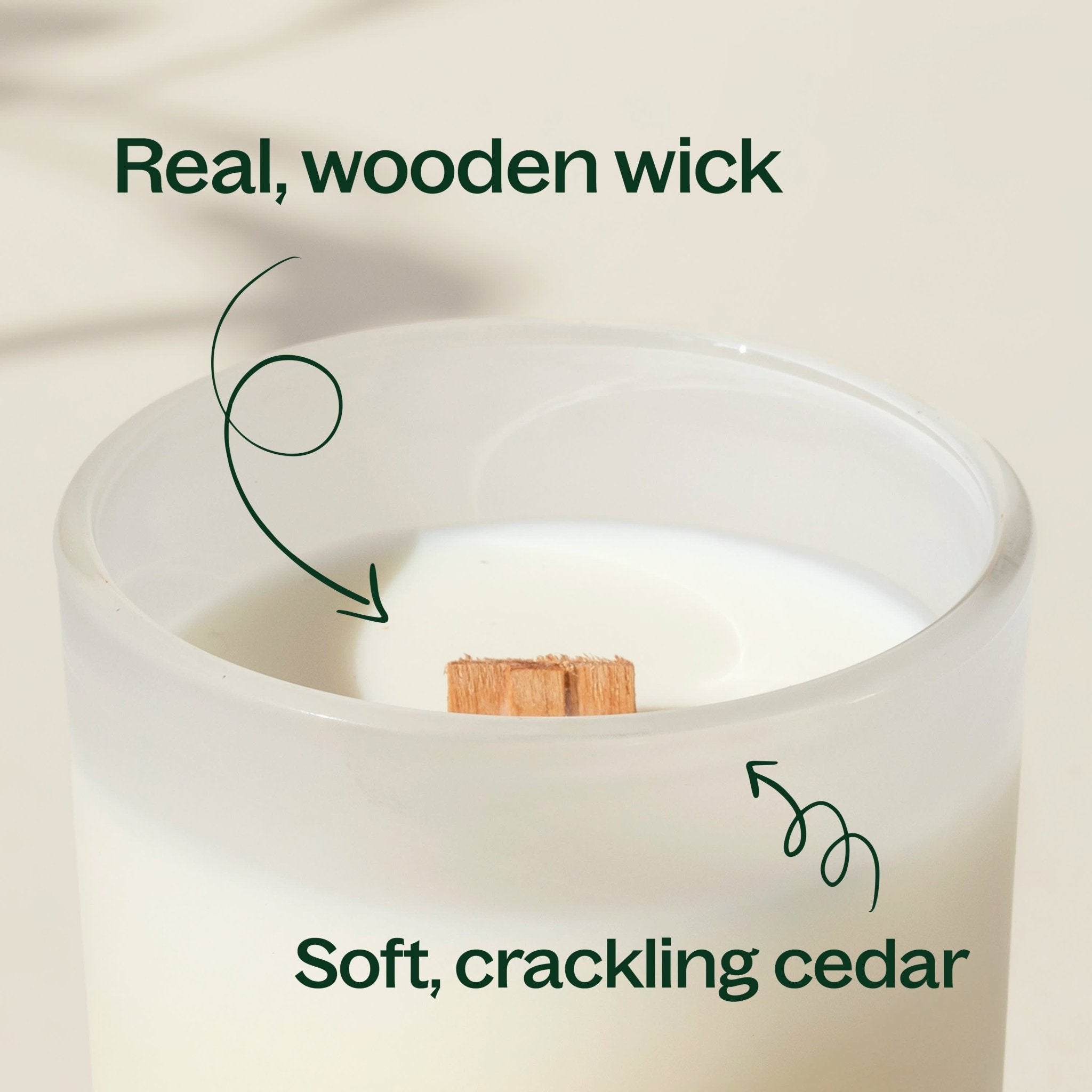 Cassis & Cedar Naturally Scented Candle Plant Therapy