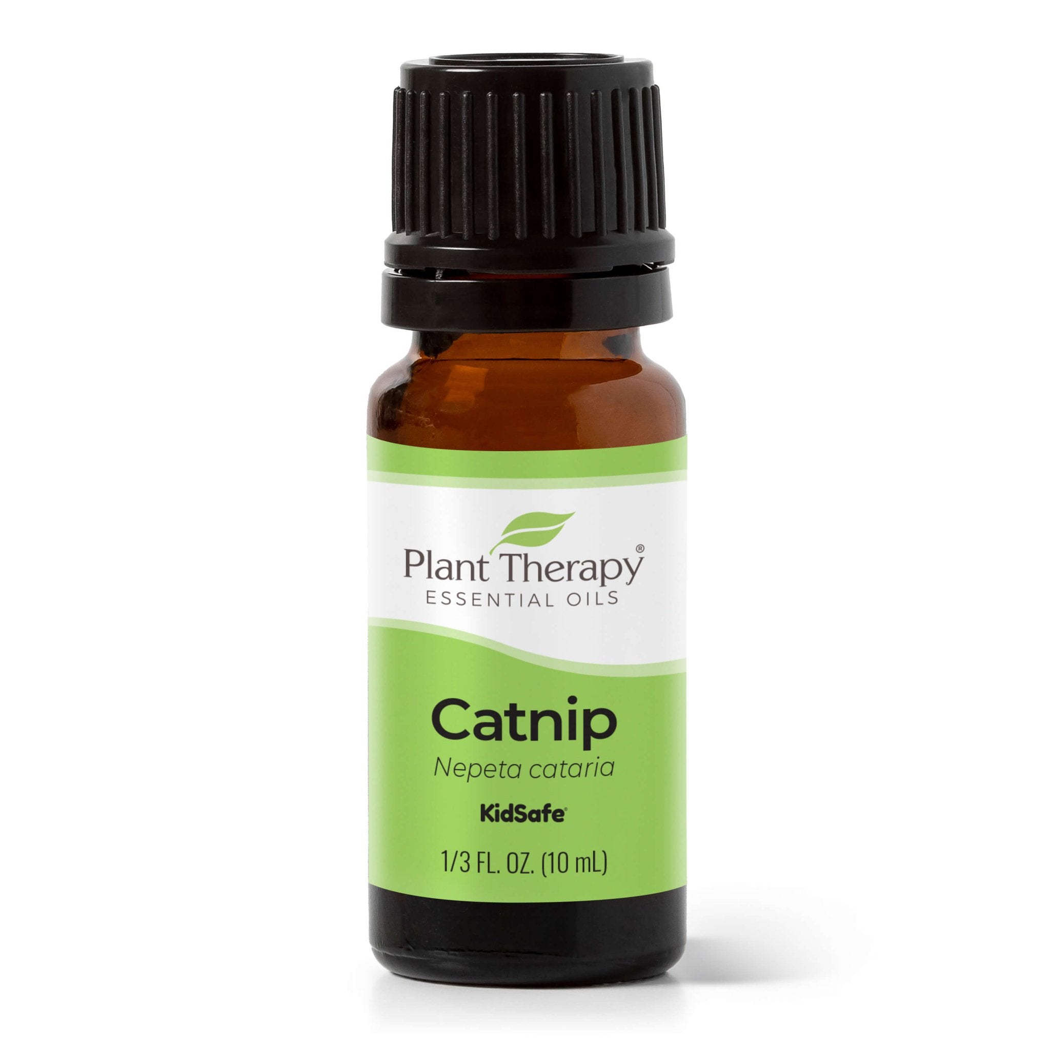 Catnip Essential Oil Plant Therapy