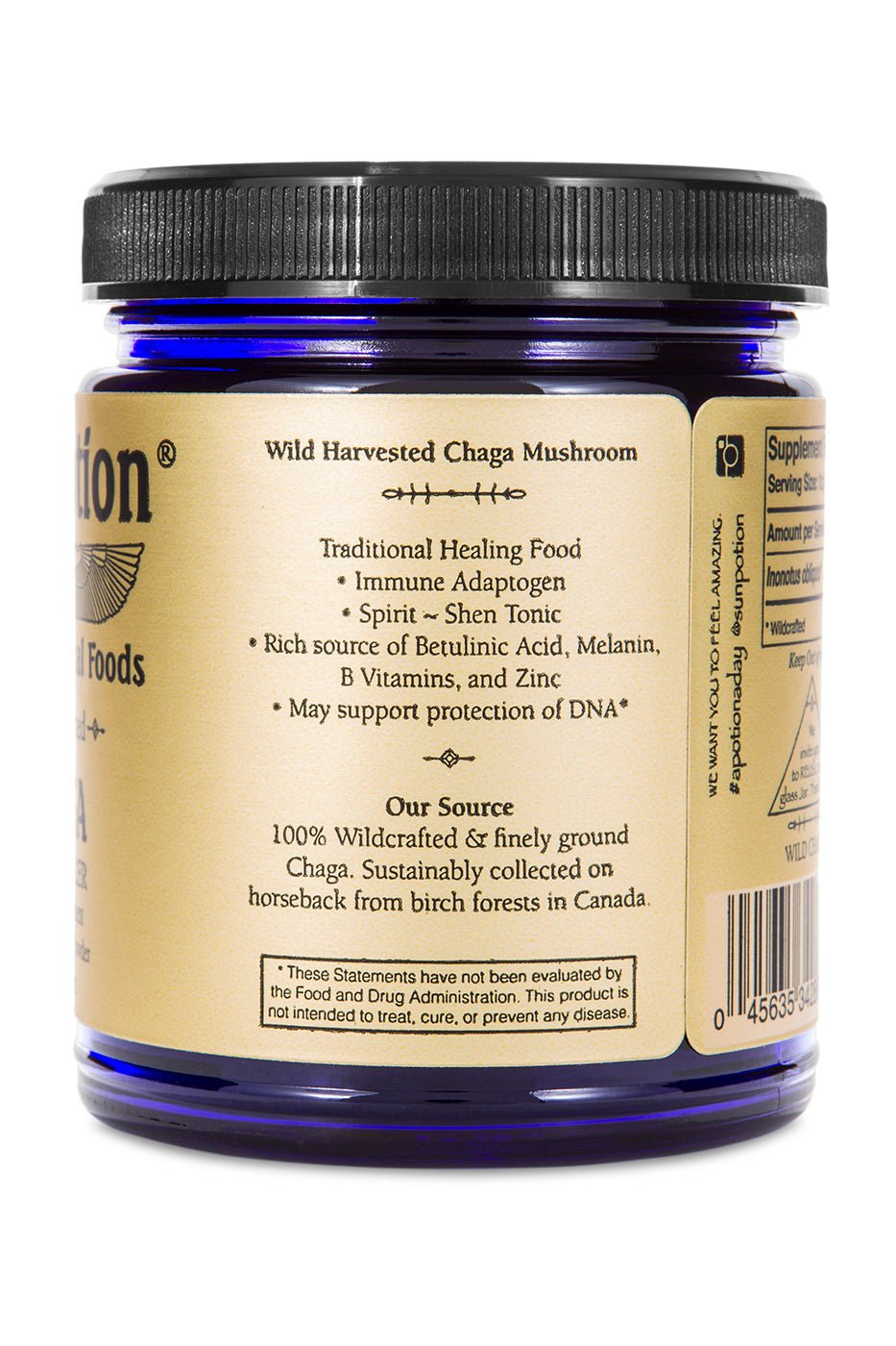 Chaga Mushroom Powder (Wildcrafted) Sun Potion
