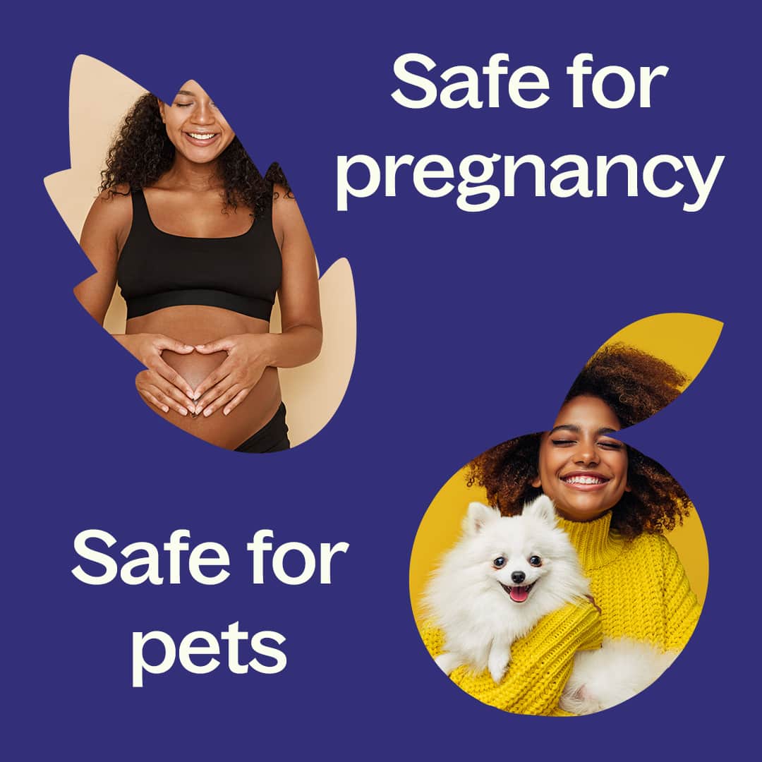 Chill Out Essential Oil Blend Plant Therapy