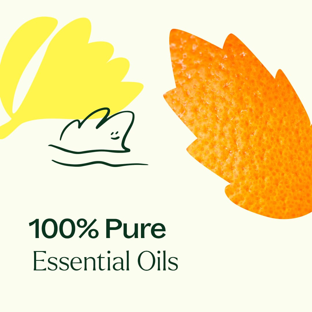 Chill Out Essential Oil Blend Plant Therapy