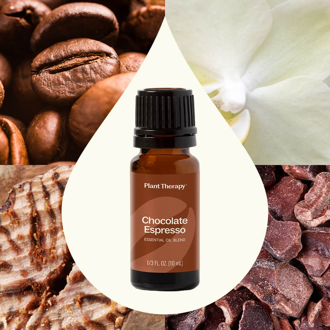 Chocolate Espresso Essential Oil Blend Plant Therapy