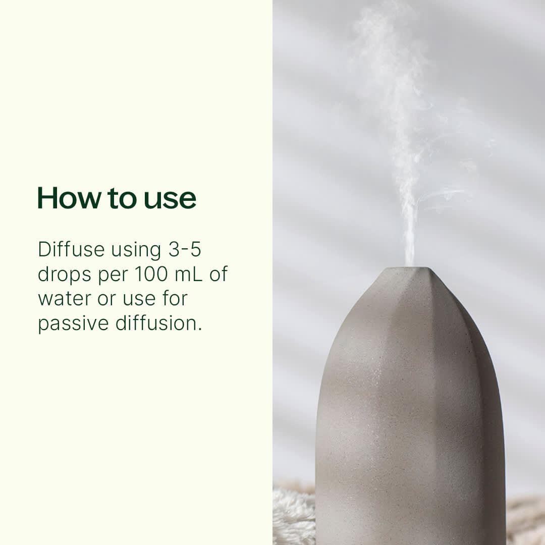 Chocolate Espresso Essential Oil Blend Plant Therapy